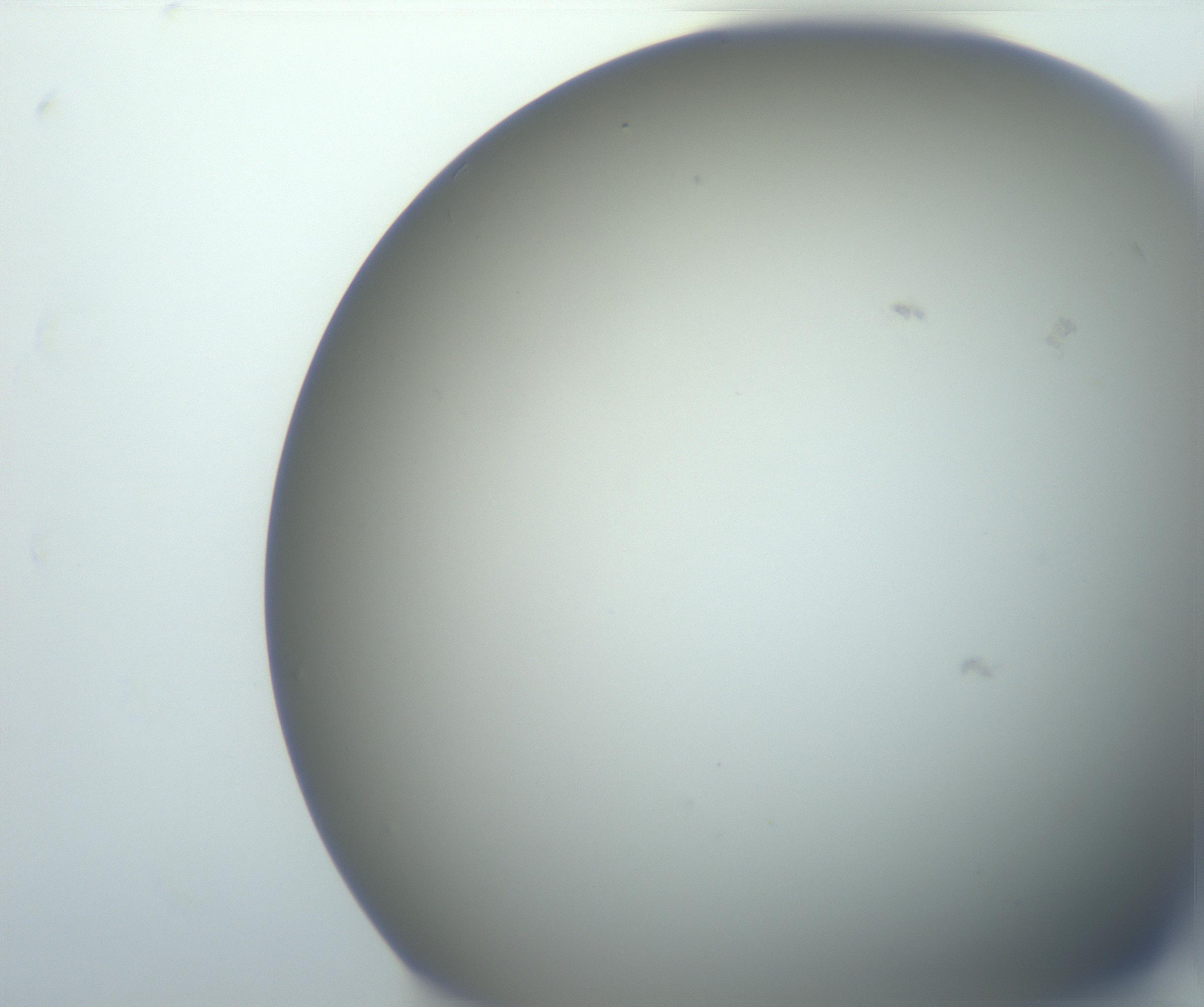 RI01_03_000_0212_Proj1_Clon1_MC_0000MC102801_006_161013_05_01_02_00_99_002_001_RAI.jpg