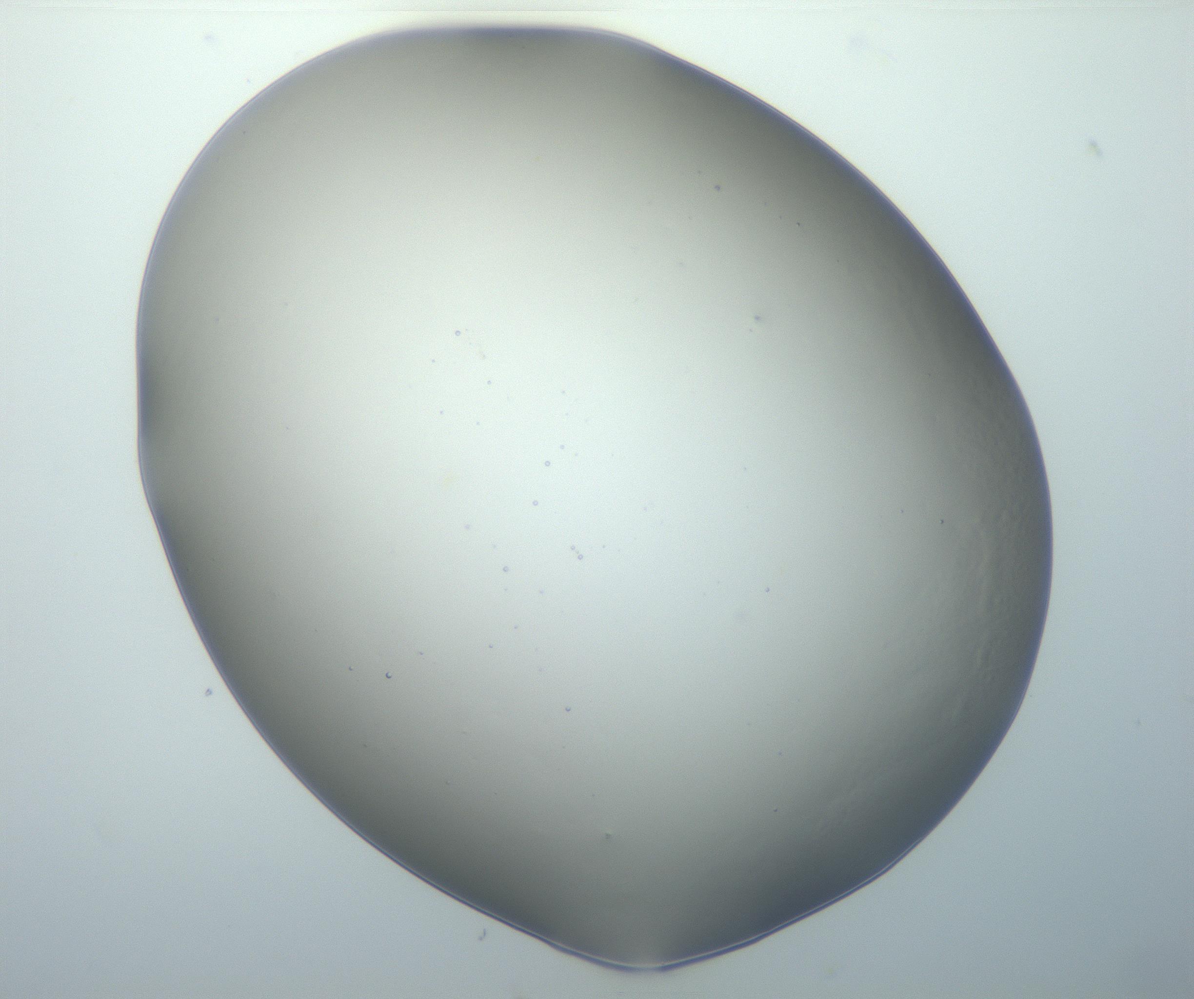RI01_03_000_0212_Proj1_Clon1_MC_0000MC102801_006_161013_05_03_01_00_99_002_001_RAI.jpg