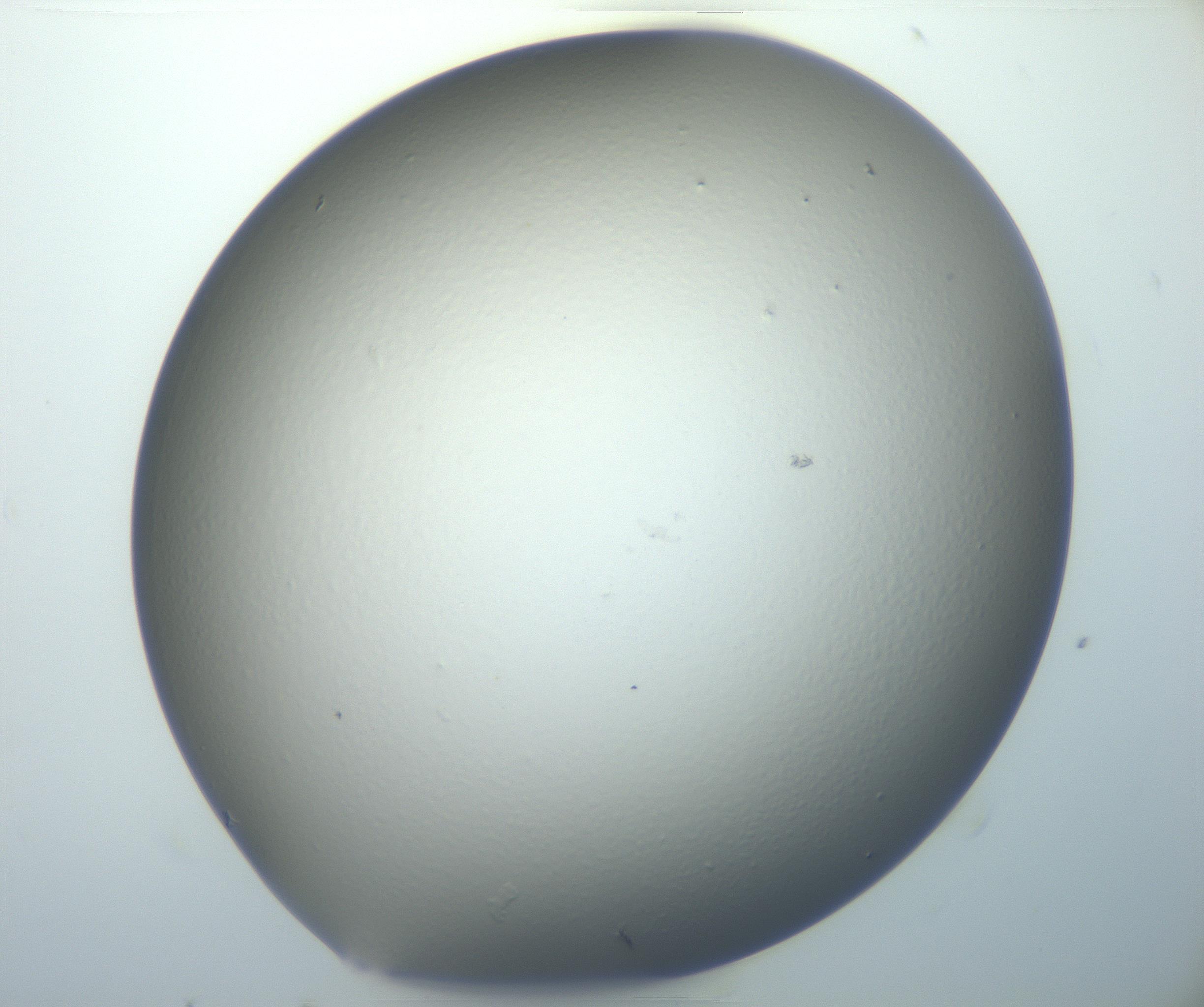 RI01_03_000_0212_Proj1_Clon1_MC_0000MC102801_006_161013_05_04_02_00_99_002_001_RAI.jpg