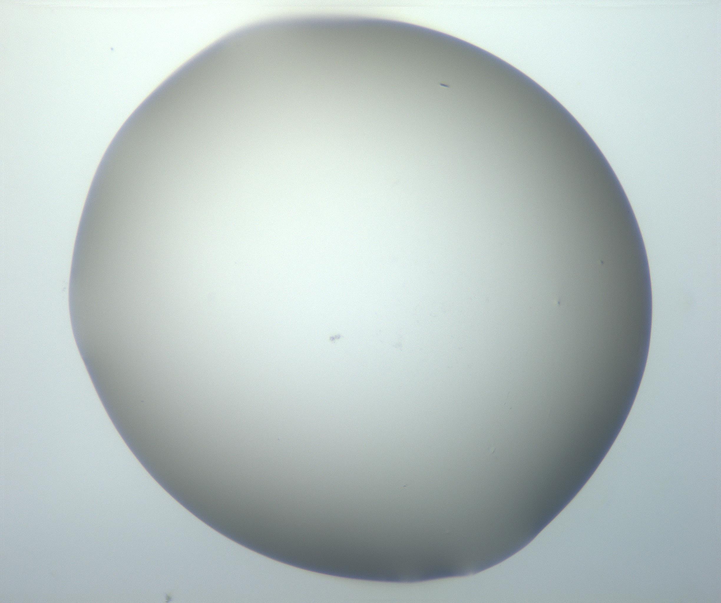 RI01_03_000_0212_Proj1_Clon1_MC_0000MC102801_006_161013_05_05_01_00_99_002_001_RAI.jpg