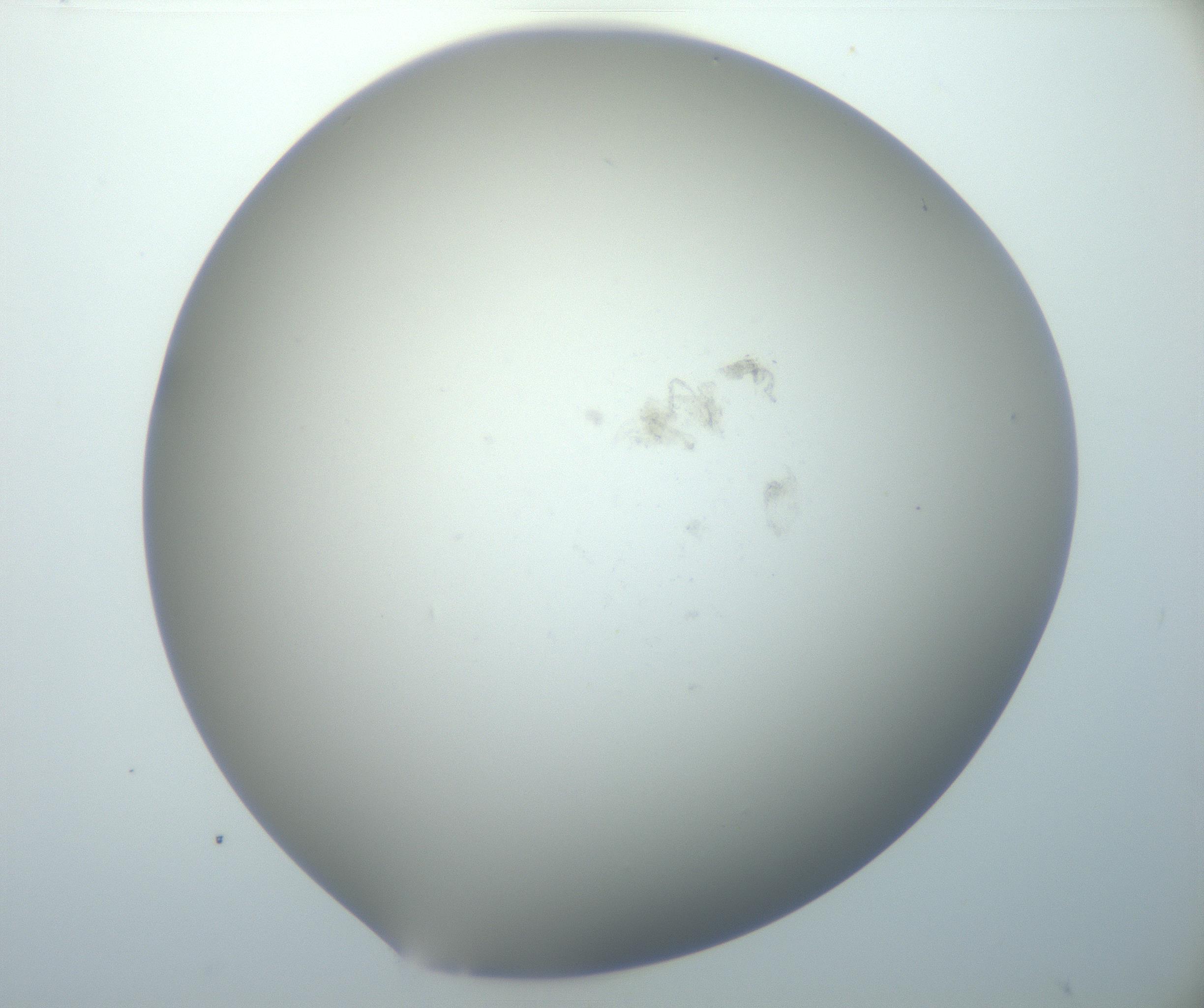 RI01_03_000_0212_Proj1_Clon1_MC_0000MC102801_006_161013_05_05_02_00_99_002_001_RAI.jpg