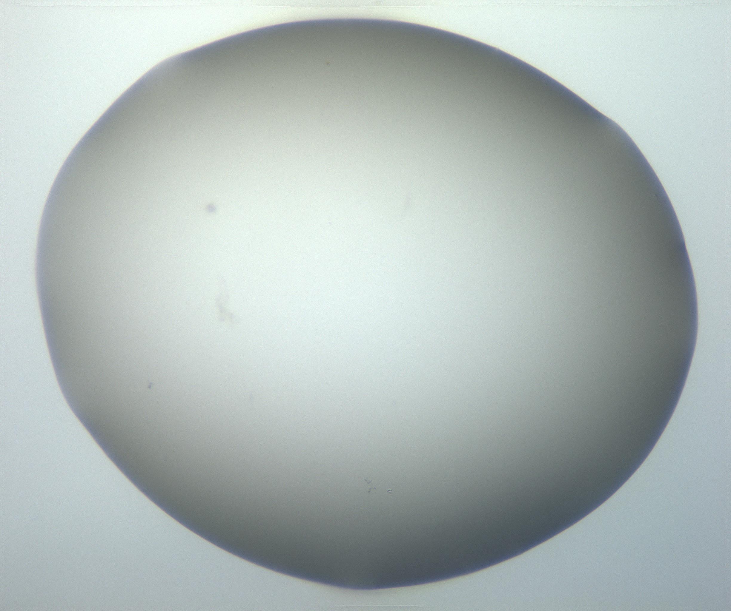 RI01_03_000_0212_Proj1_Clon1_MC_0000MC102801_006_161013_05_07_01_00_99_002_001_RAI.jpg