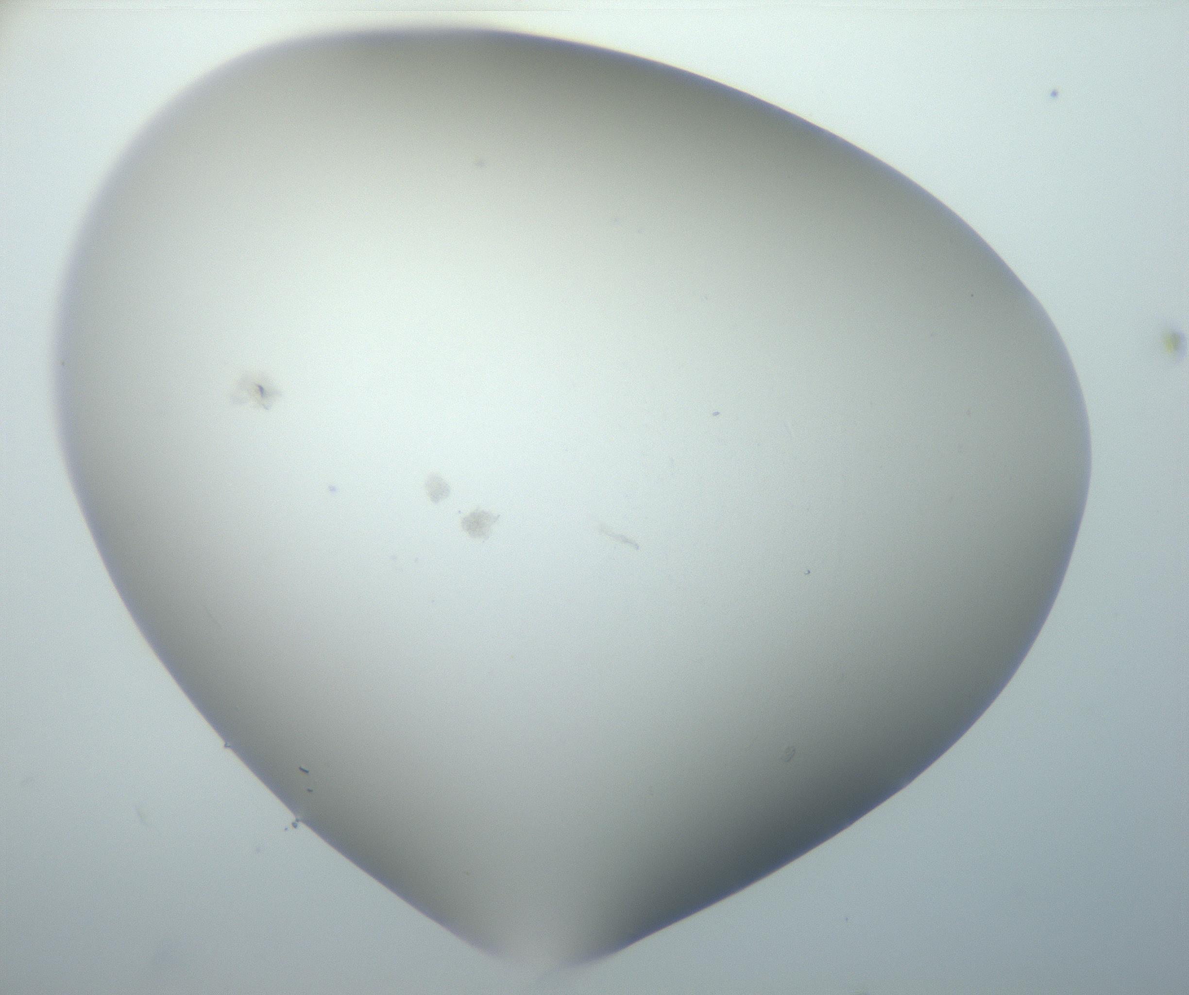 RI01_03_000_0212_Proj1_Clon1_MC_0000MC102801_006_161013_05_07_02_00_99_002_001_RAI.jpg