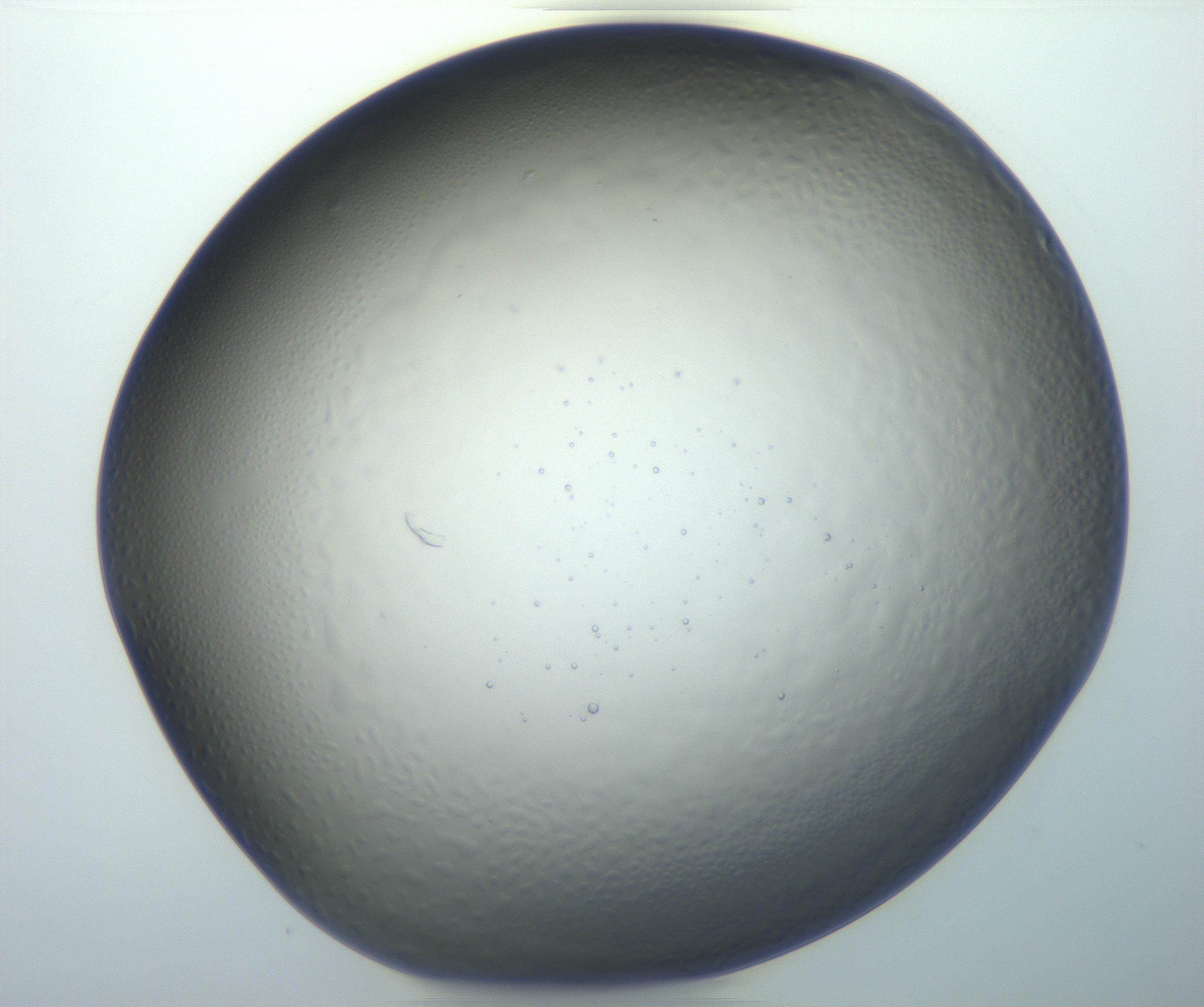 RI01_03_000_0212_Proj1_Clon1_MC_0000MC102801_006_161013_06_02_01_00_99_002_001_RAI.jpg