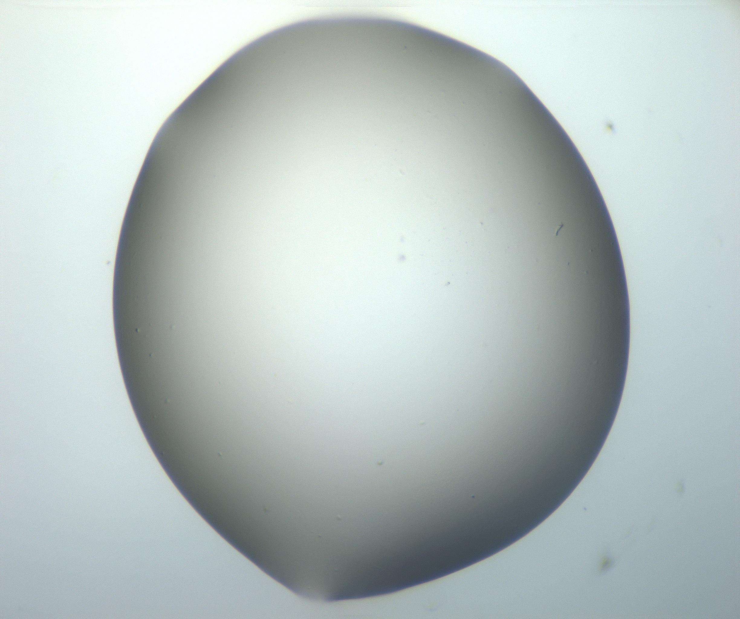 RI01_03_000_0212_Proj1_Clon1_MC_0000MC102801_006_161013_06_04_01_00_99_002_001_RAI.jpg