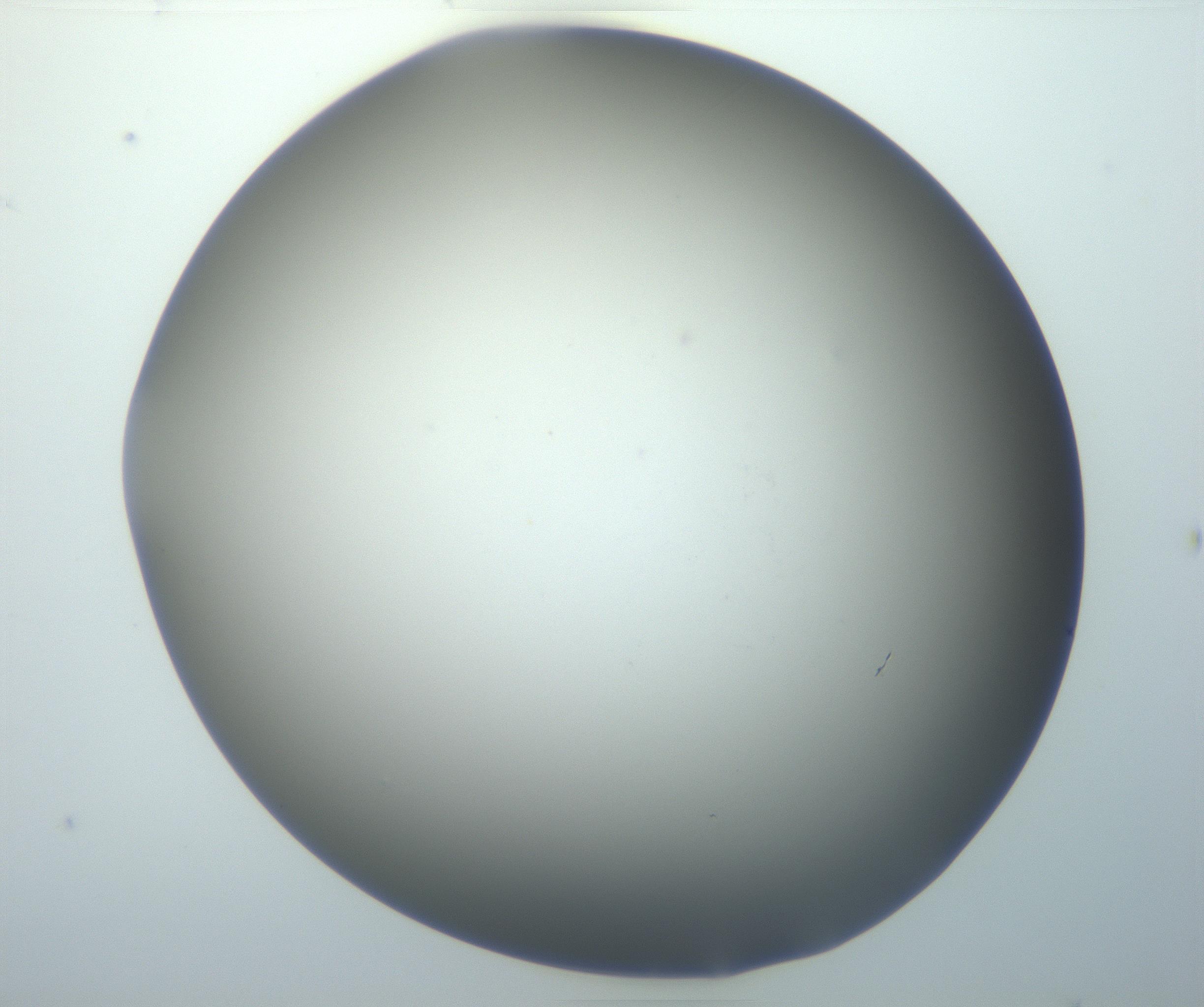 RI01_03_000_0212_Proj1_Clon1_MC_0000MC102801_006_161013_06_05_01_00_99_002_001_RAI.jpg