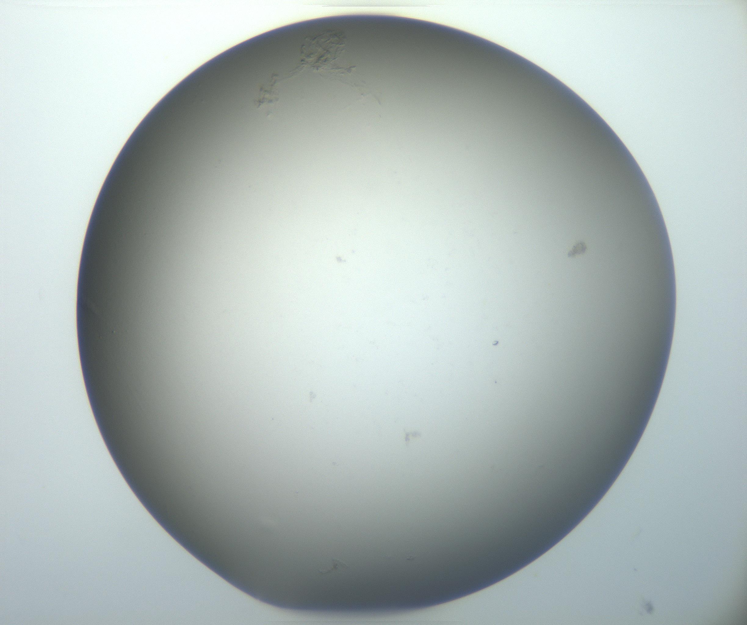 RI01_03_000_0212_Proj1_Clon1_MC_0000MC102801_006_161013_06_05_02_00_99_002_001_RAI.jpg