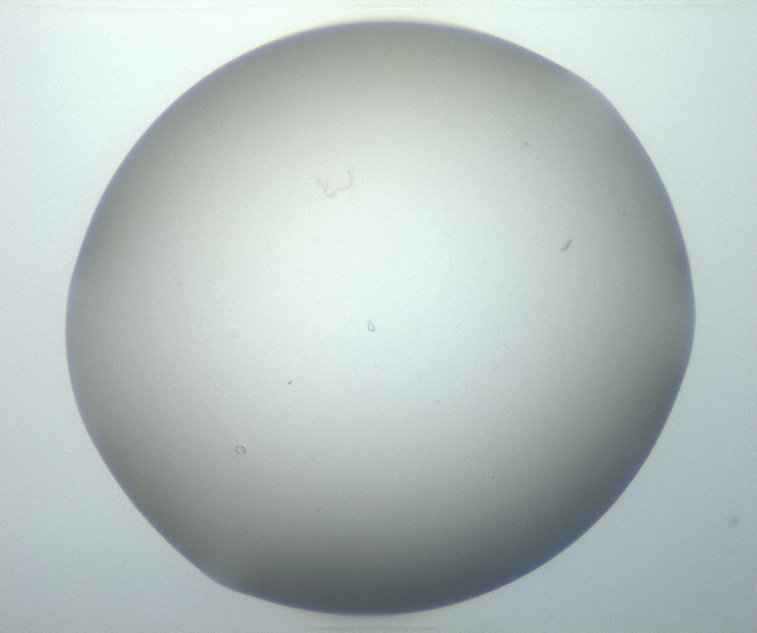 RI01_03_000_0212_Proj1_Clon1_MC_0000MC102801_006_161013_06_07_01_00_99_002_001_RAI.jpg