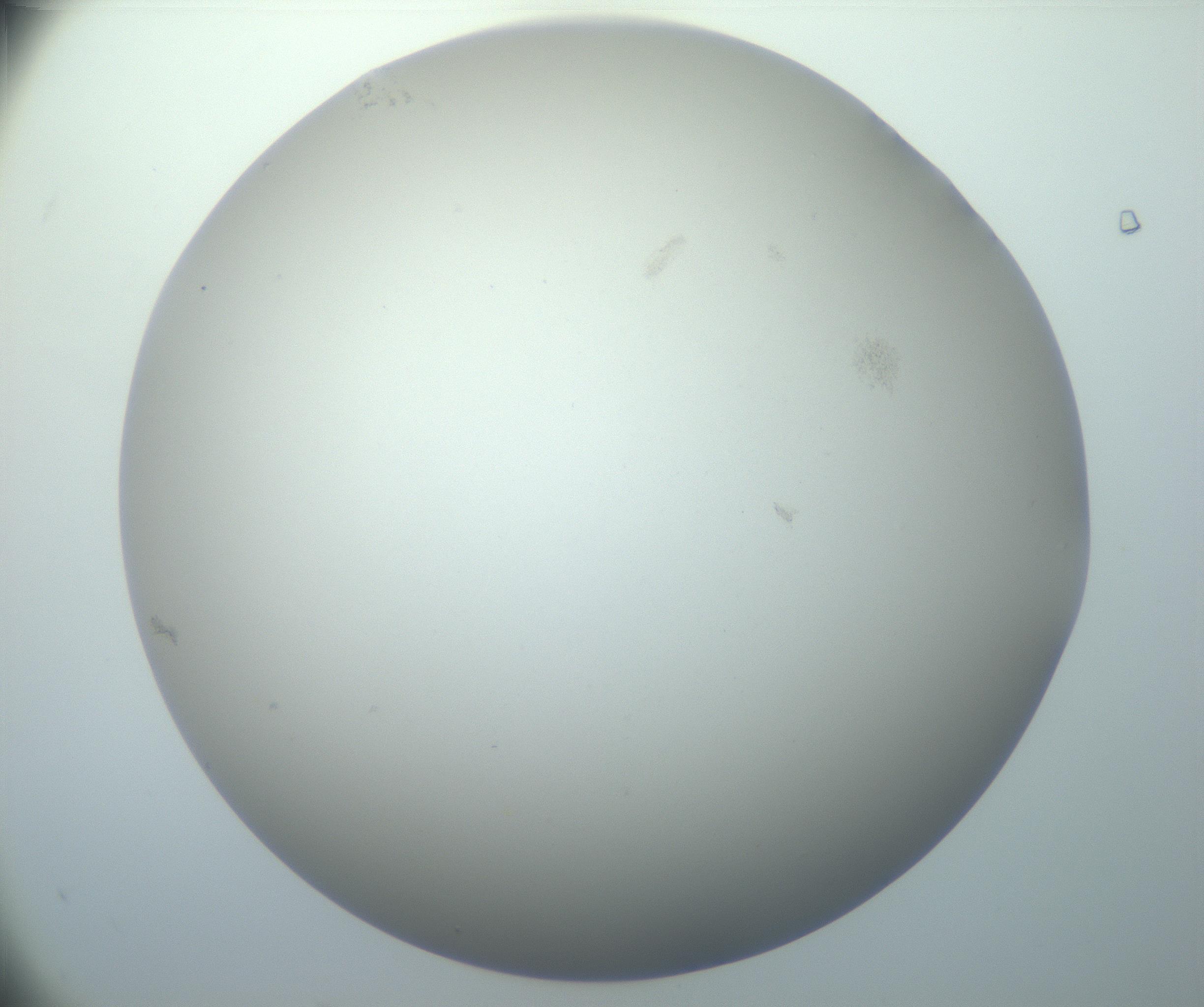 RI01_03_000_0212_Proj1_Clon1_MC_0000MC102801_006_161013_06_08_02_00_99_002_001_RAI.jpg