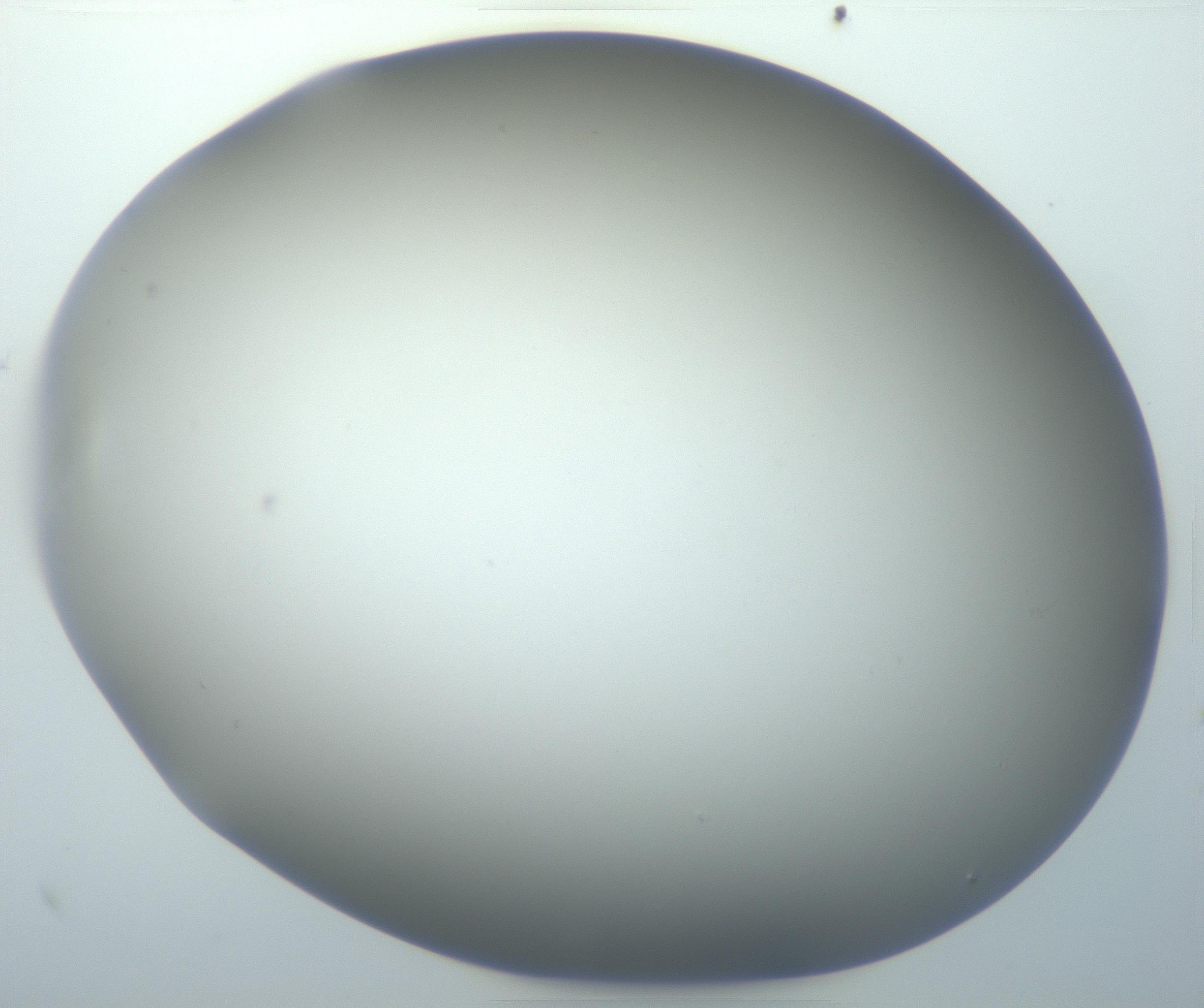 RI01_03_000_0212_Proj1_Clon1_MC_0000MC102801_006_161013_07_01_01_00_99_002_001_RAI.jpg