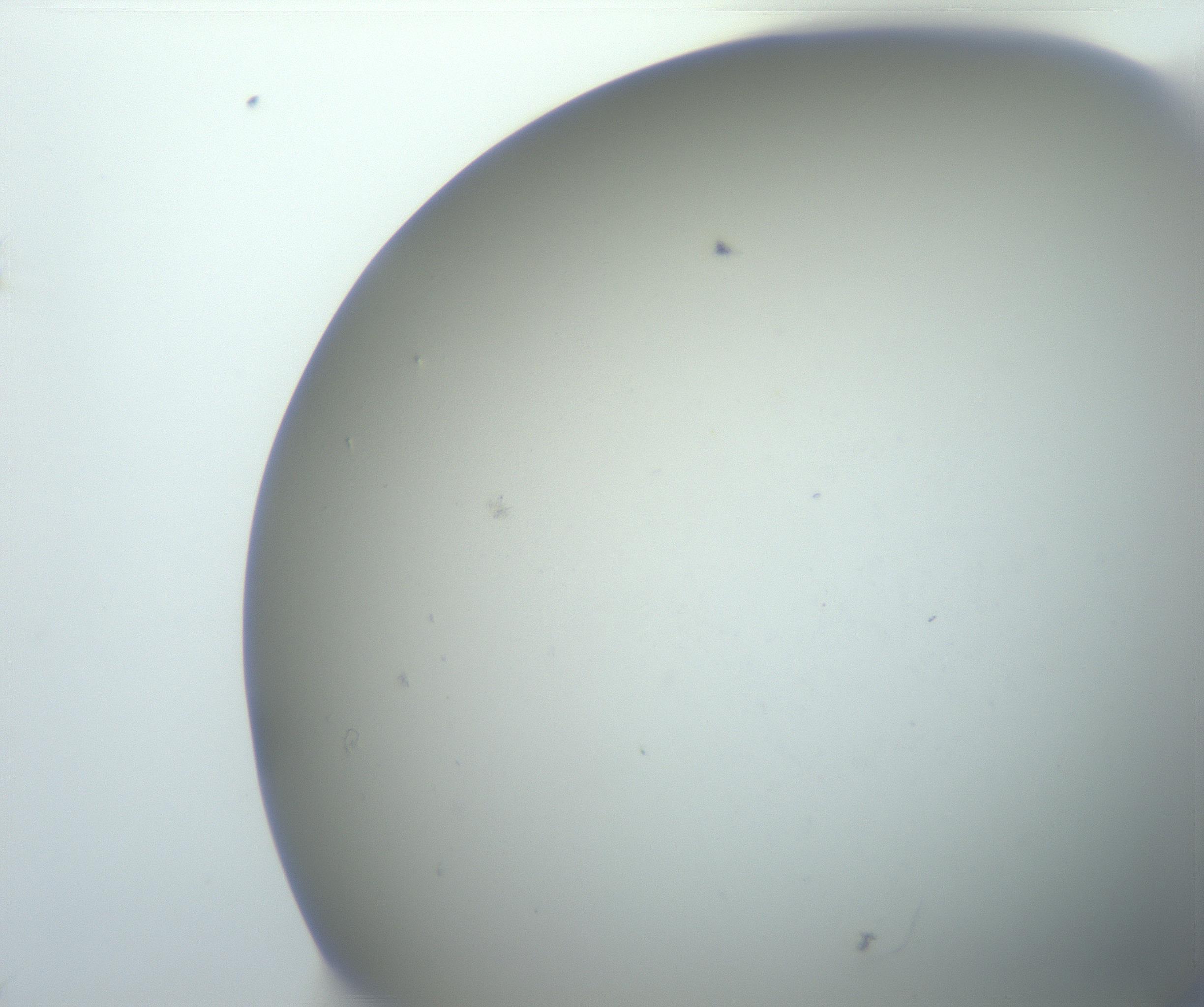 RI01_03_000_0212_Proj1_Clon1_MC_0000MC102801_006_161013_07_01_02_00_99_002_001_RAI.jpg