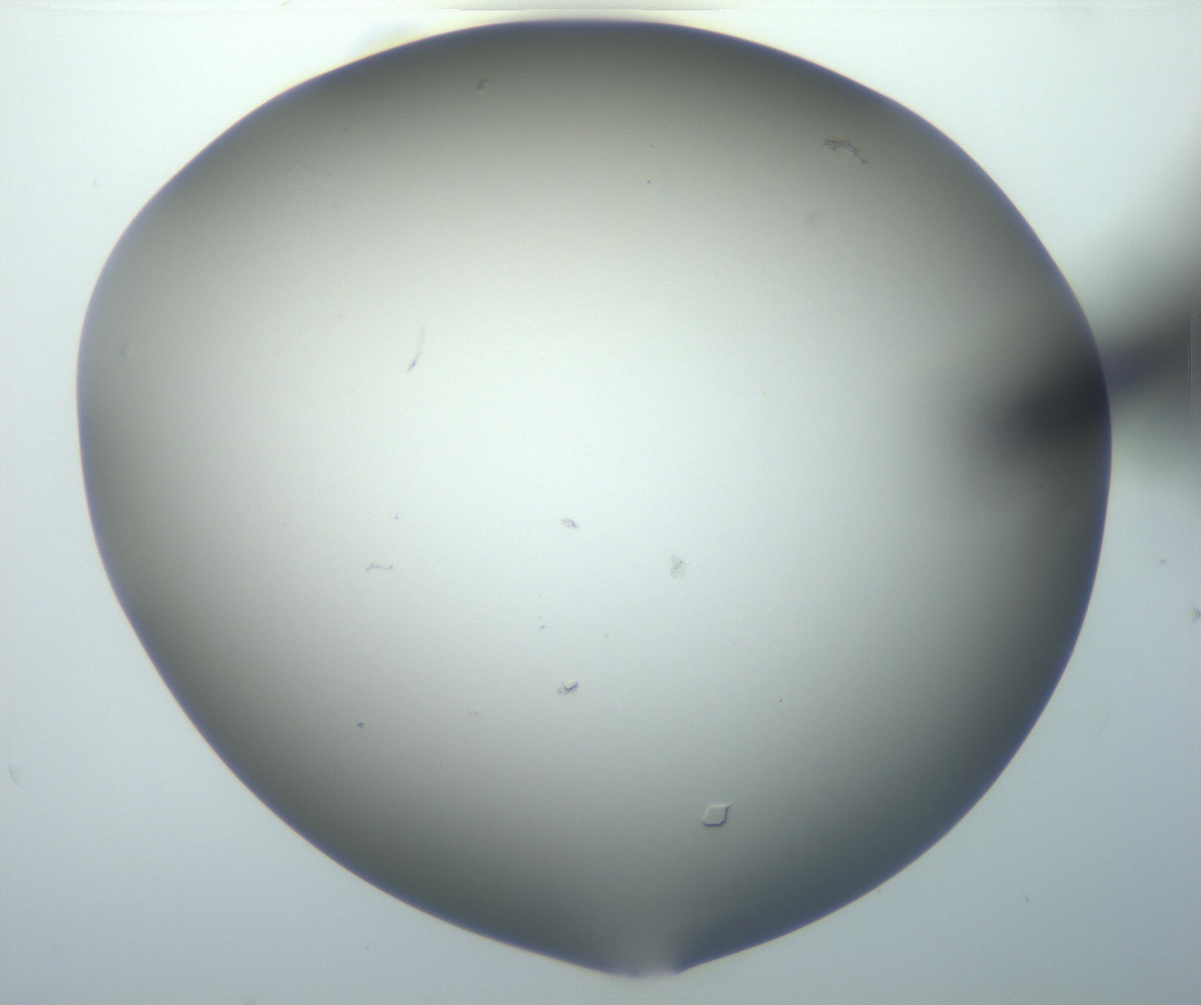 RI01_03_000_0212_Proj1_Clon1_MC_0000MC102801_006_161013_07_02_02_00_99_002_001_RAI.jpg