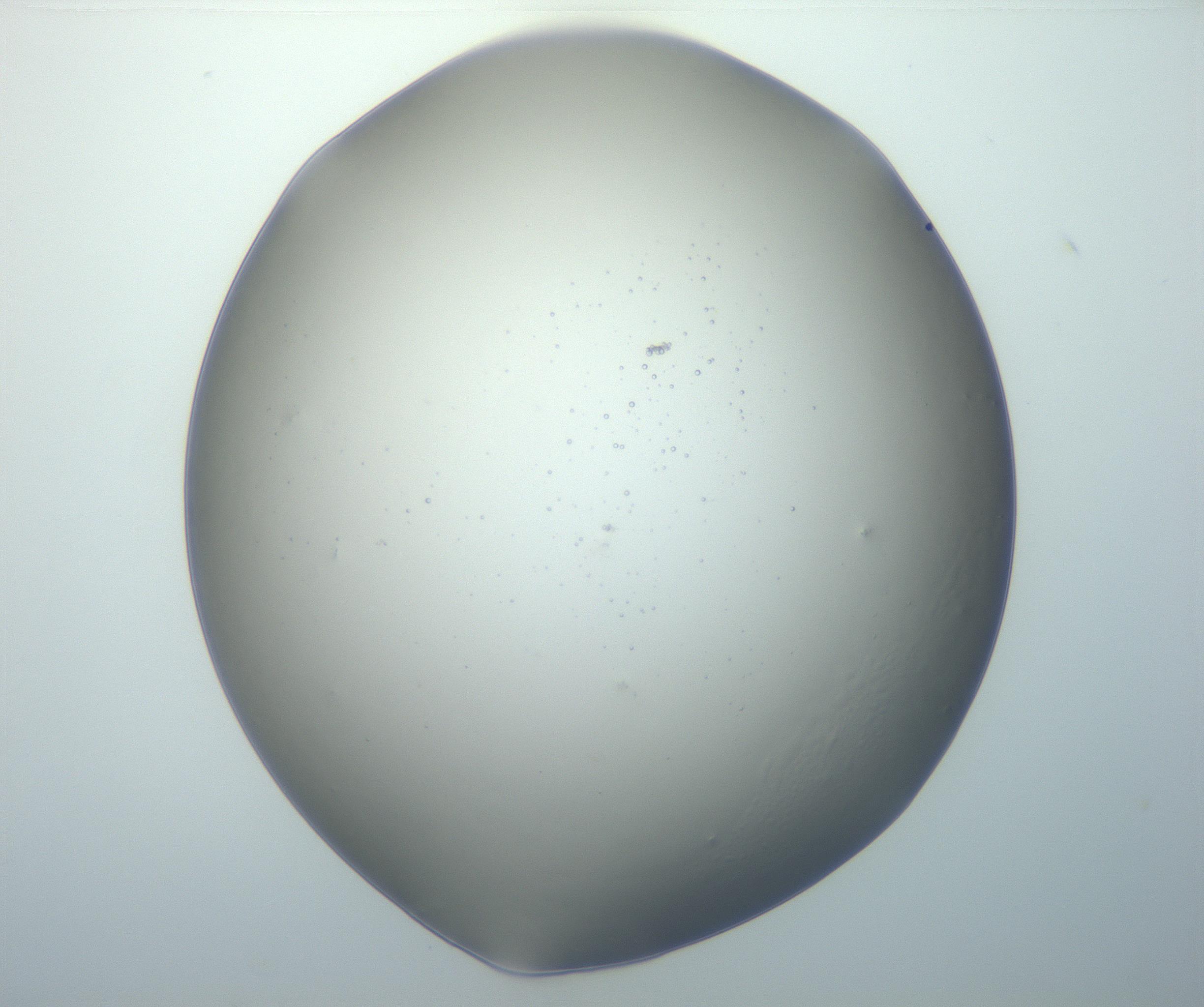 RI01_03_000_0212_Proj1_Clon1_MC_0000MC102801_006_161013_07_04_01_00_99_002_001_RAI.jpg