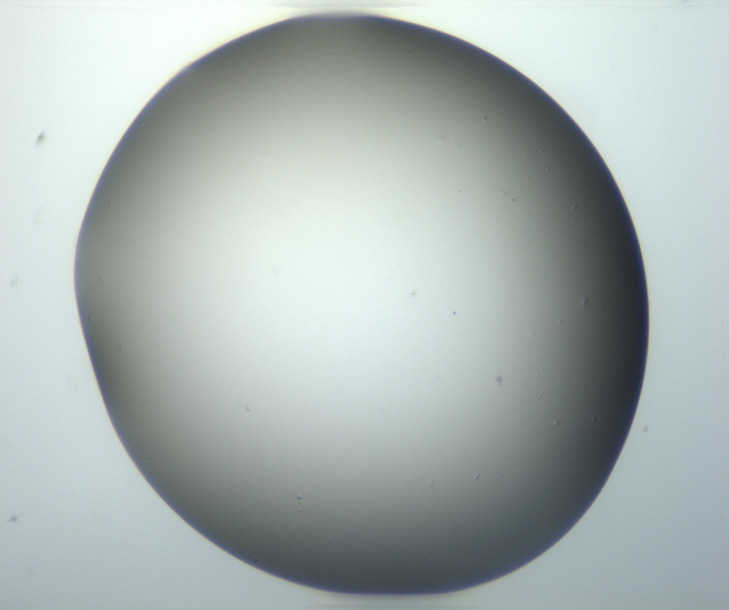 RI01_03_000_0212_Proj1_Clon1_MC_0000MC102801_006_161013_07_05_01_00_99_002_001_RAI.jpg
