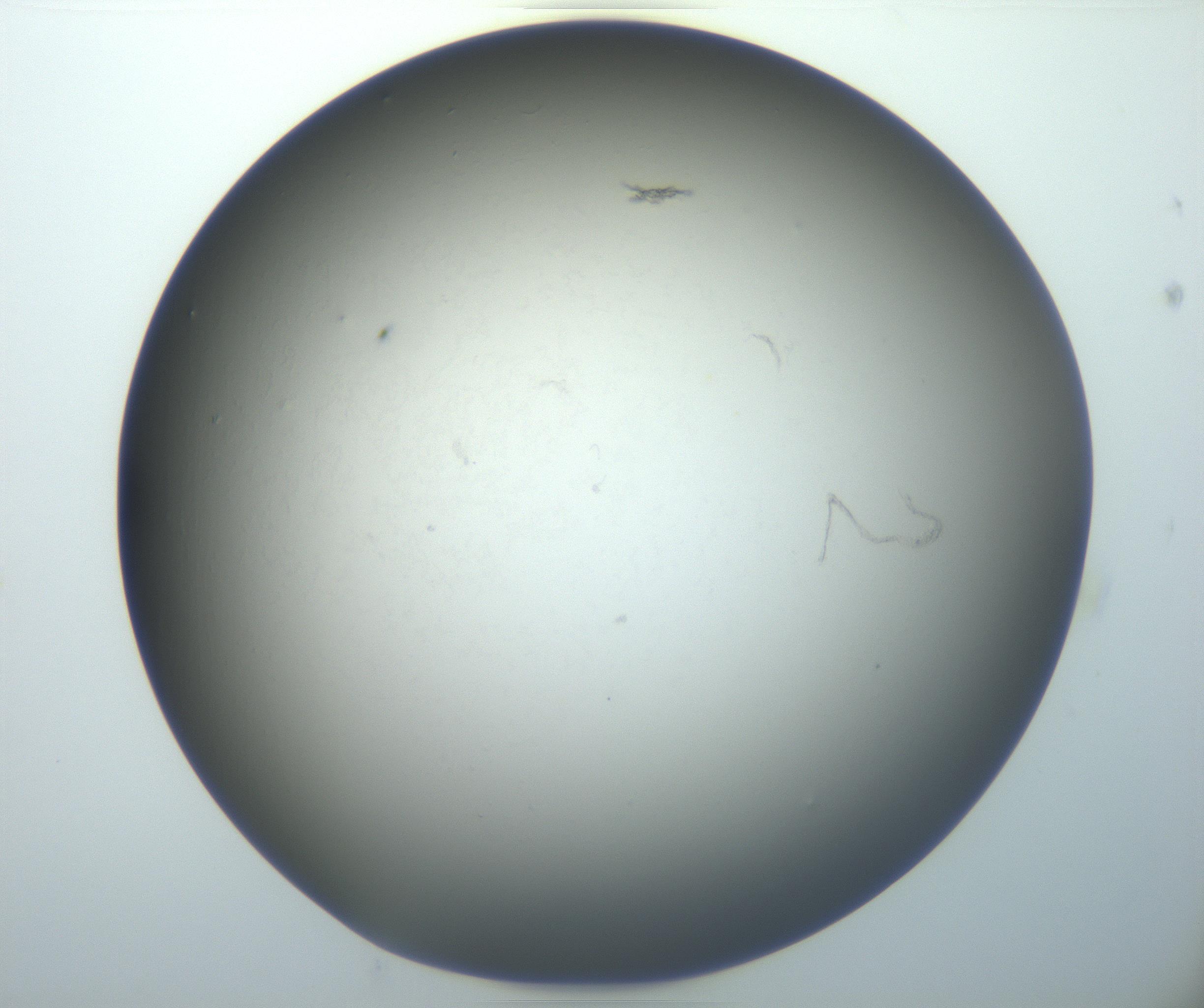 RI01_03_000_0212_Proj1_Clon1_MC_0000MC102801_006_161013_07_05_02_00_99_002_001_RAI.jpg