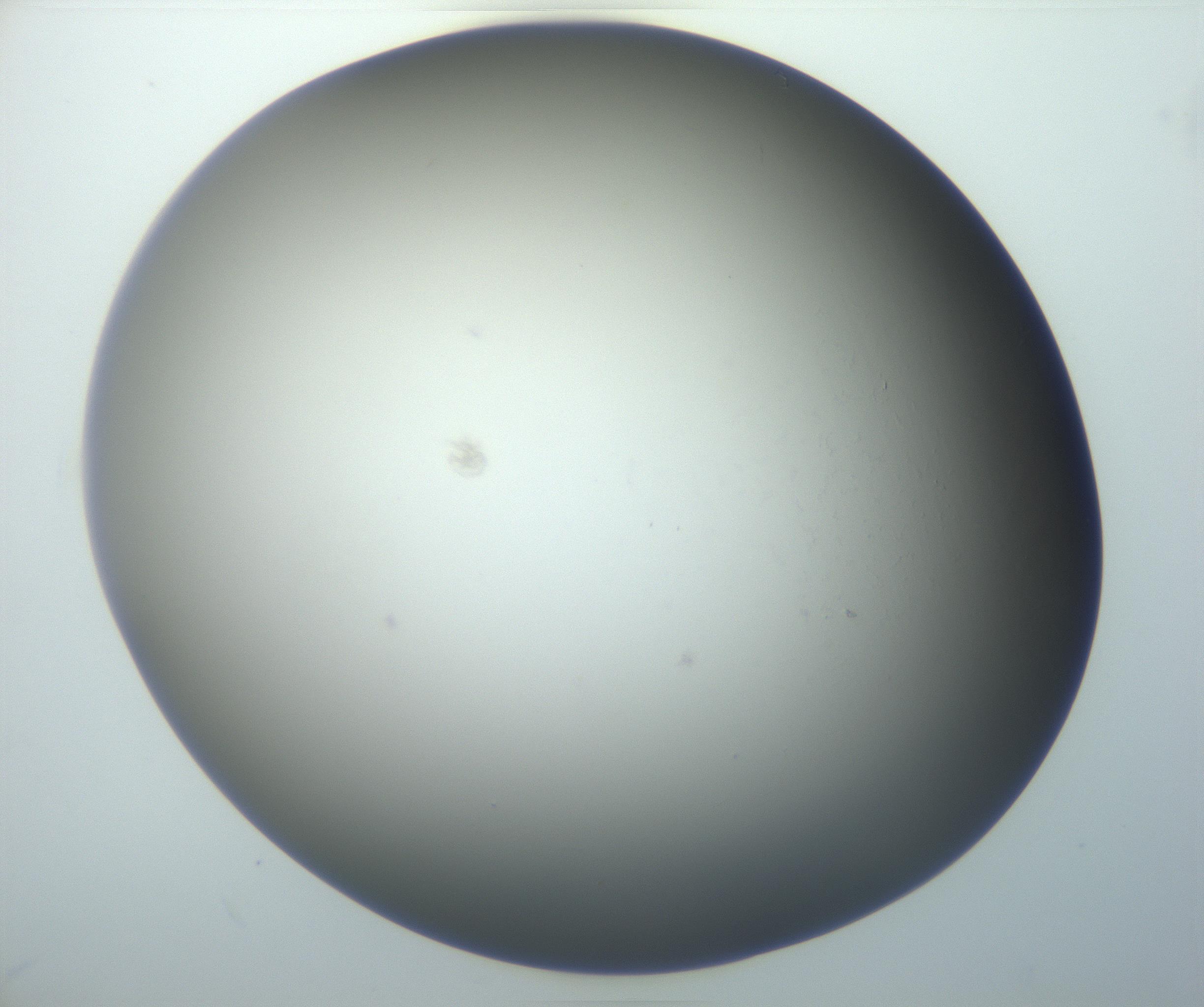 RI01_03_000_0212_Proj1_Clon1_MC_0000MC102801_006_161013_07_06_01_00_99_002_001_RAI.jpg