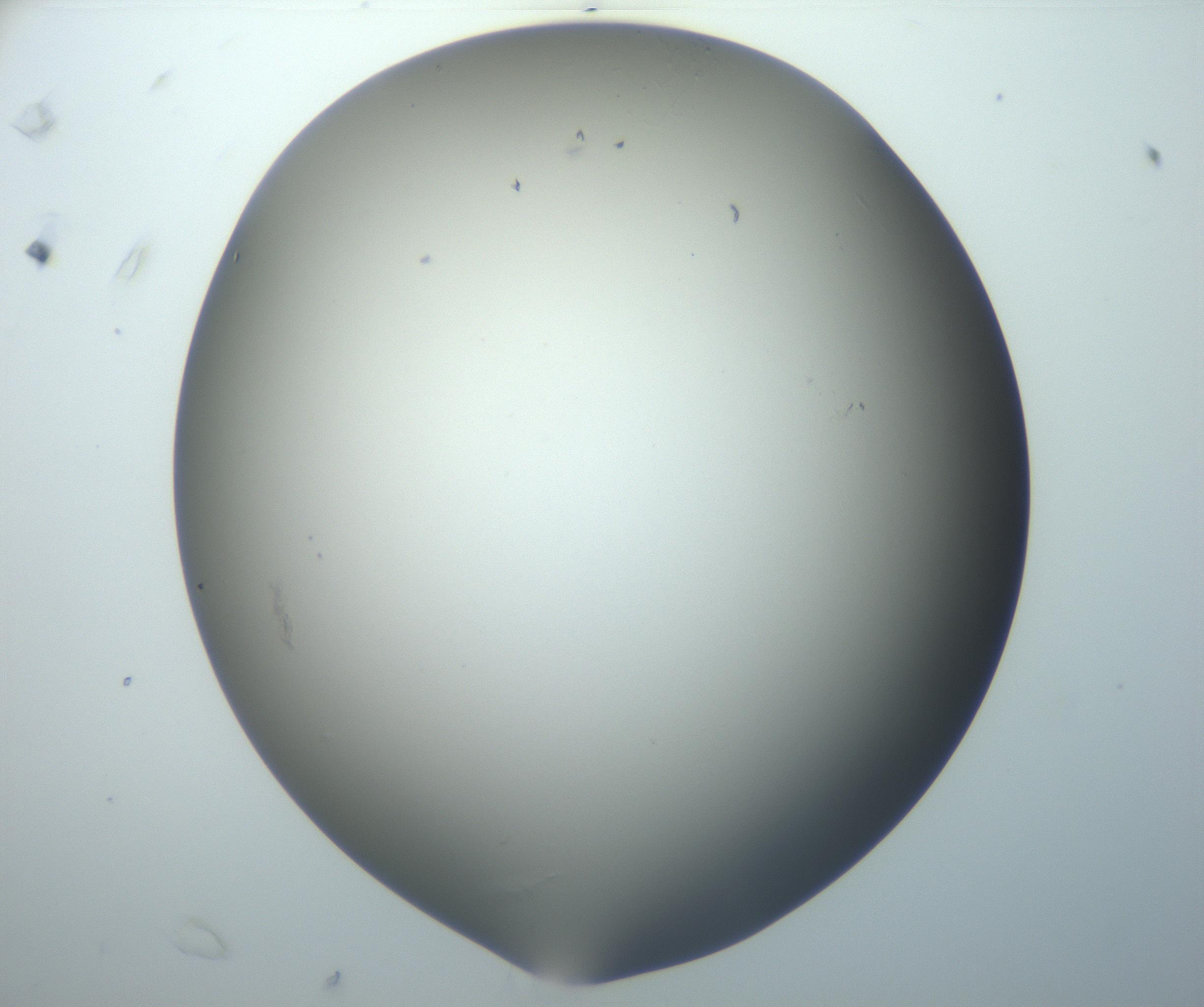 RI01_03_000_0212_Proj1_Clon1_MC_0000MC102801_006_161013_07_06_02_00_99_002_001_RAI.jpg