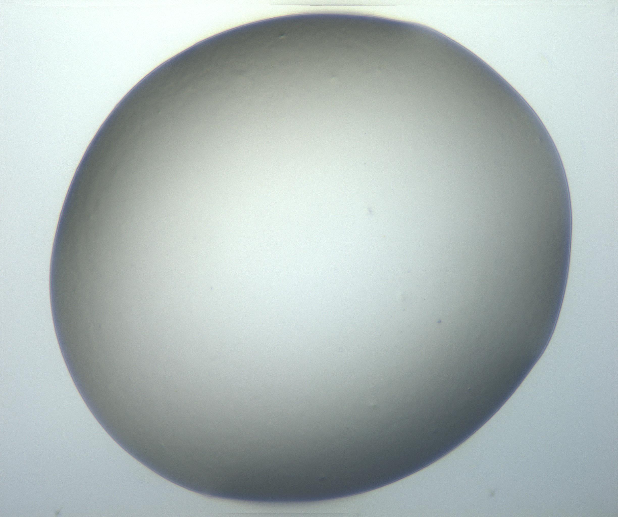 RI01_03_000_0212_Proj1_Clon1_MC_0000MC102801_006_161013_08_02_01_00_99_002_001_RAI.jpg