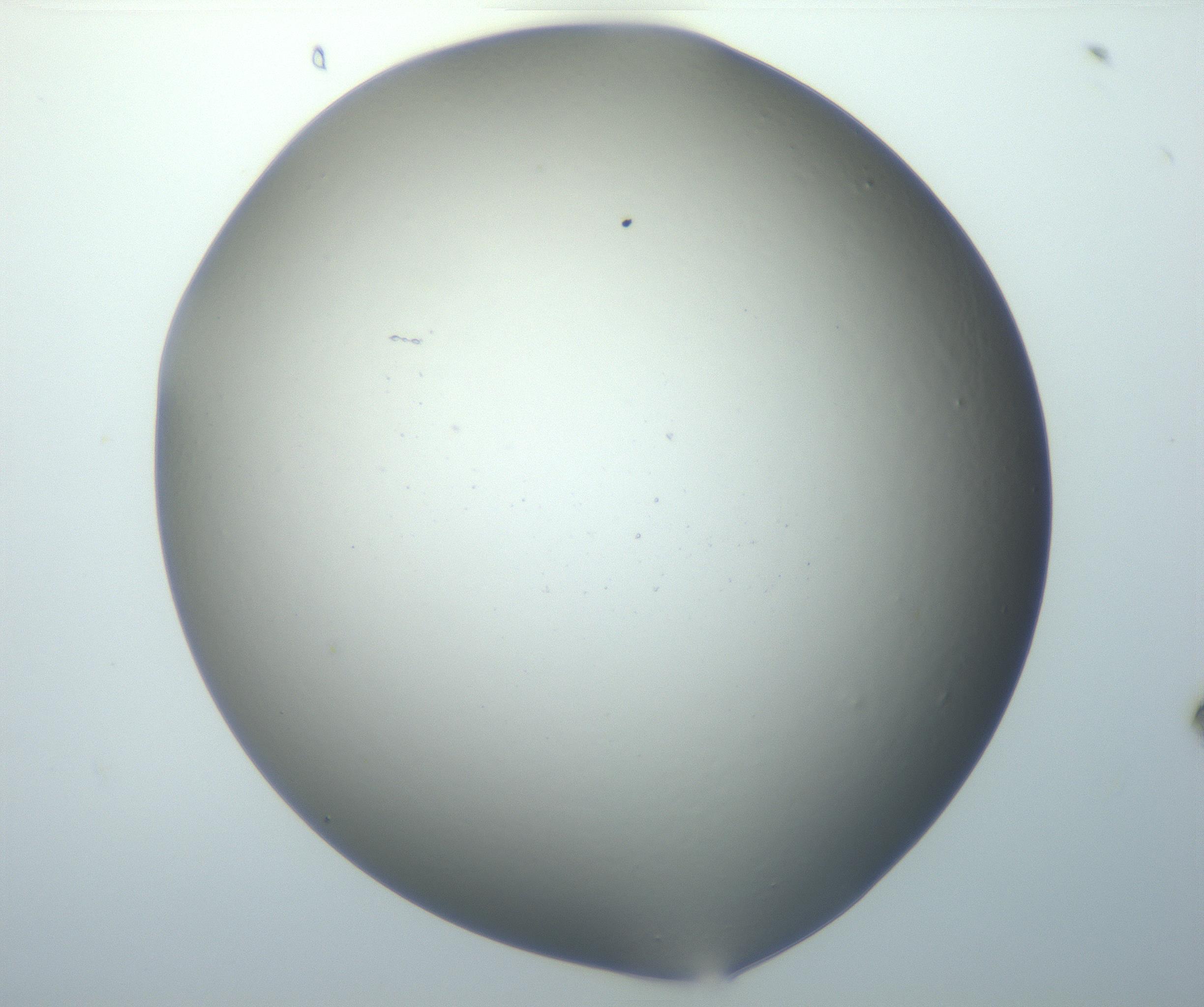 RI01_03_000_0212_Proj1_Clon1_MC_0000MC102801_006_161013_08_03_01_00_99_002_001_RAI.jpg