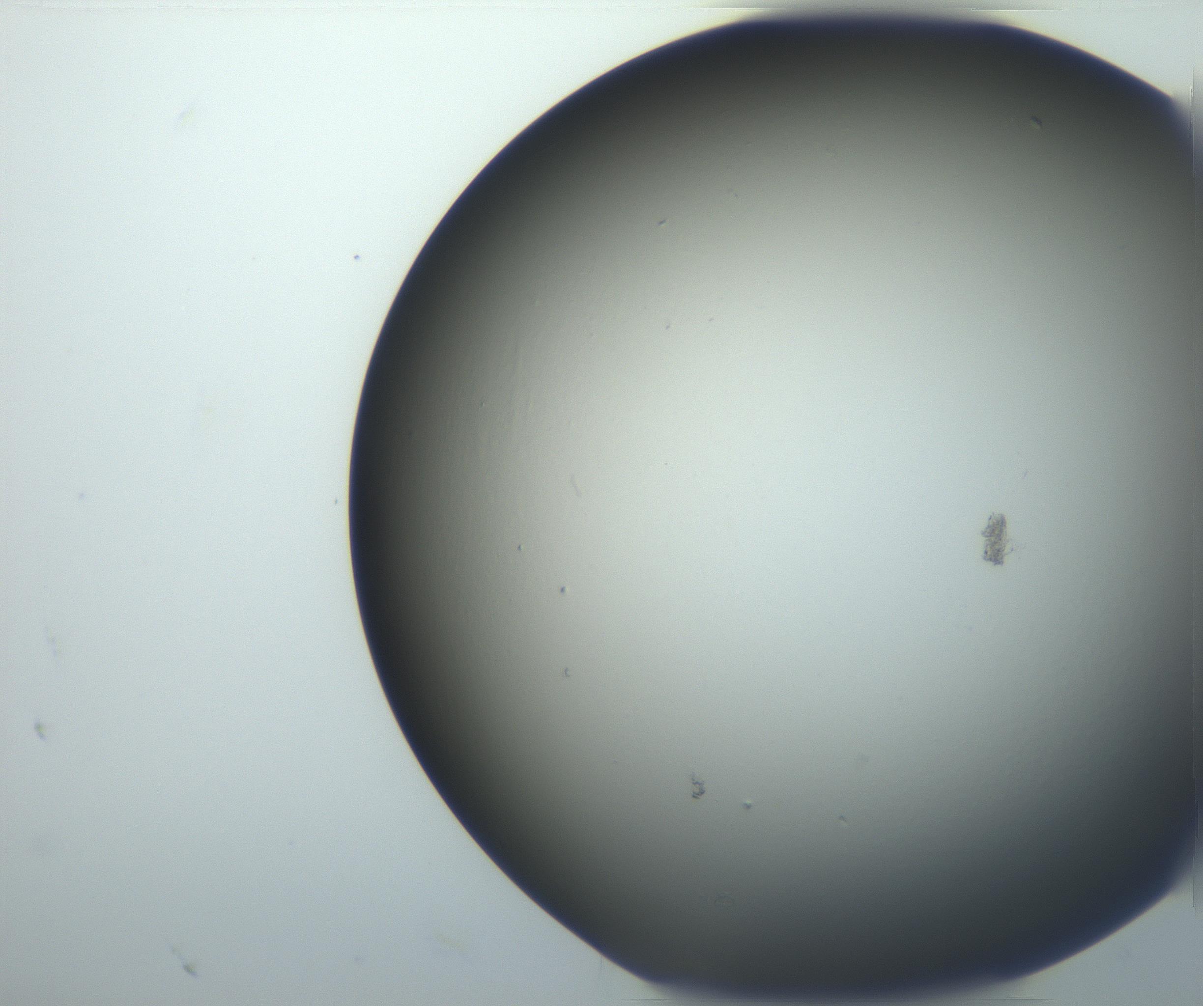 RI01_03_000_0212_Proj1_Clon1_MC_0000MC102801_006_161013_08_04_02_00_99_002_001_RAI.jpg