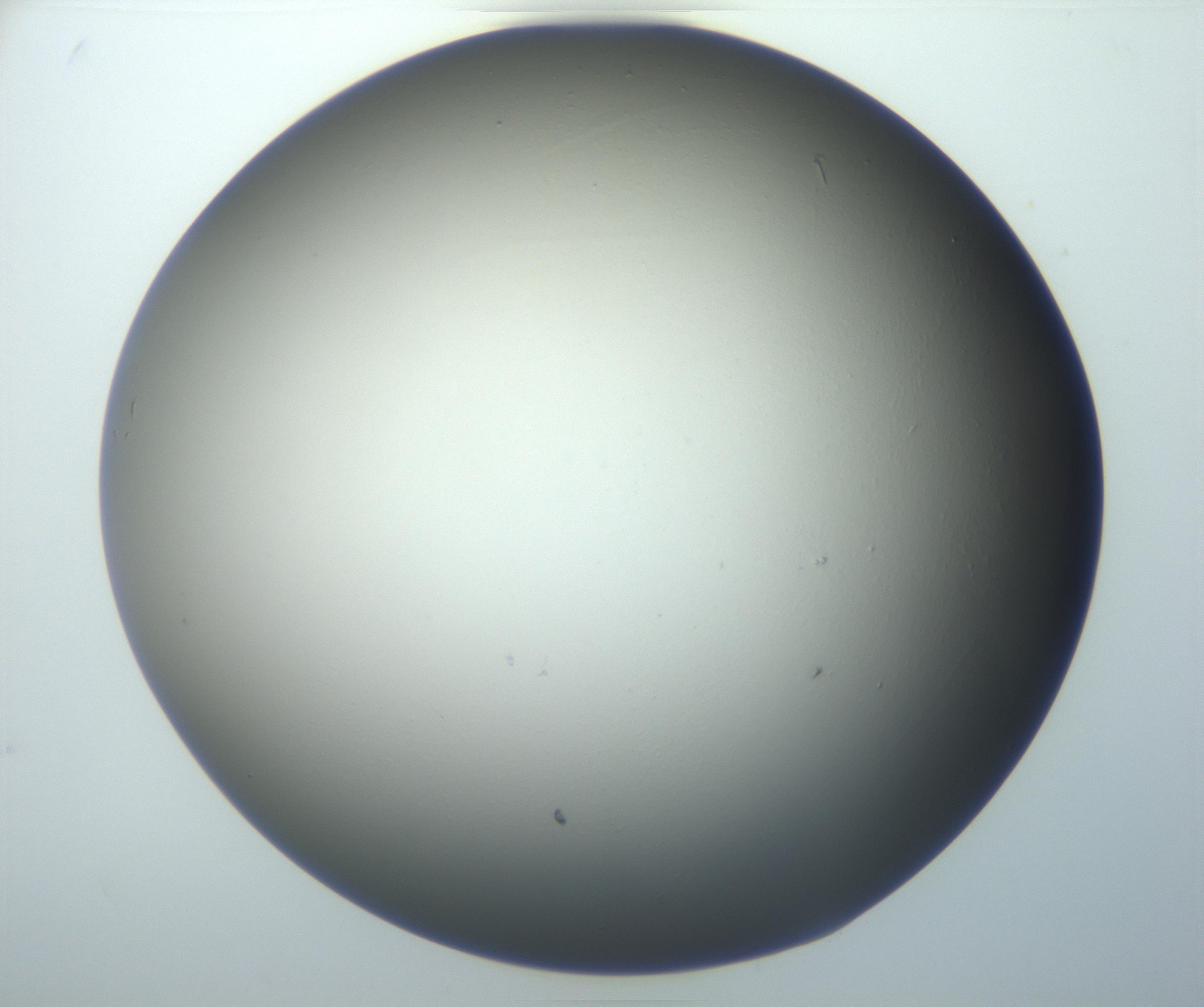 RI01_03_000_0212_Proj1_Clon1_MC_0000MC102801_006_161013_08_06_01_00_99_002_001_RAI.jpg