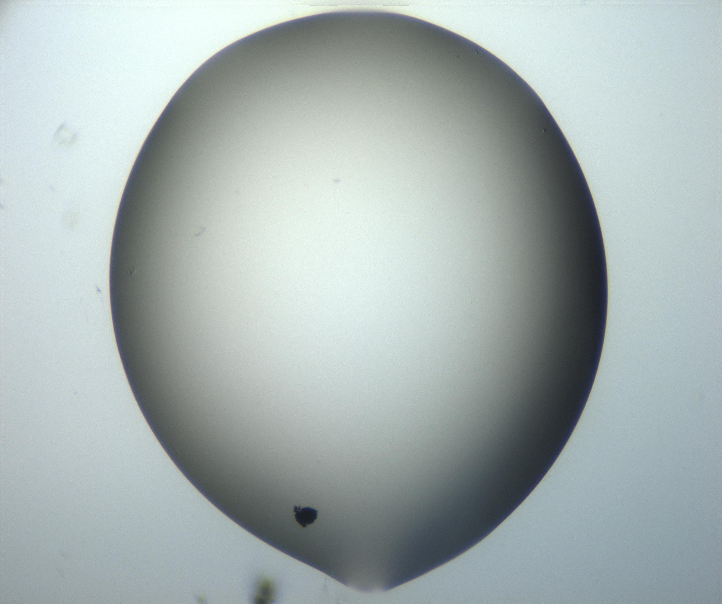 RI01_03_000_0212_Proj1_Clon1_MC_0000MC102801_006_161013_08_06_02_00_99_002_001_RAI.jpg