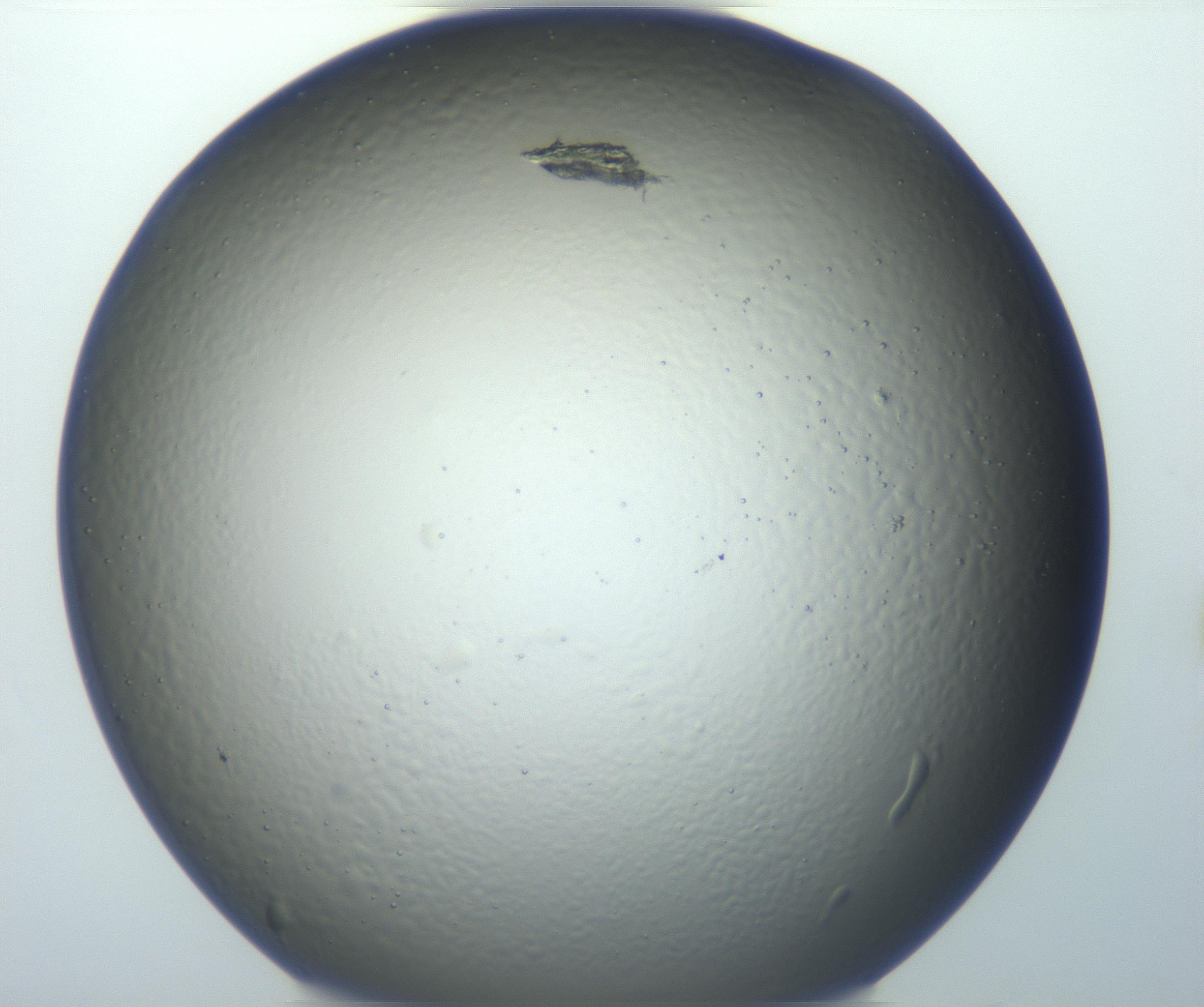 RI01_03_000_0212_Proj1_Clon1_MC_0000MC102801_006_161013_09_01_01_00_99_002_001_RAI.jpg