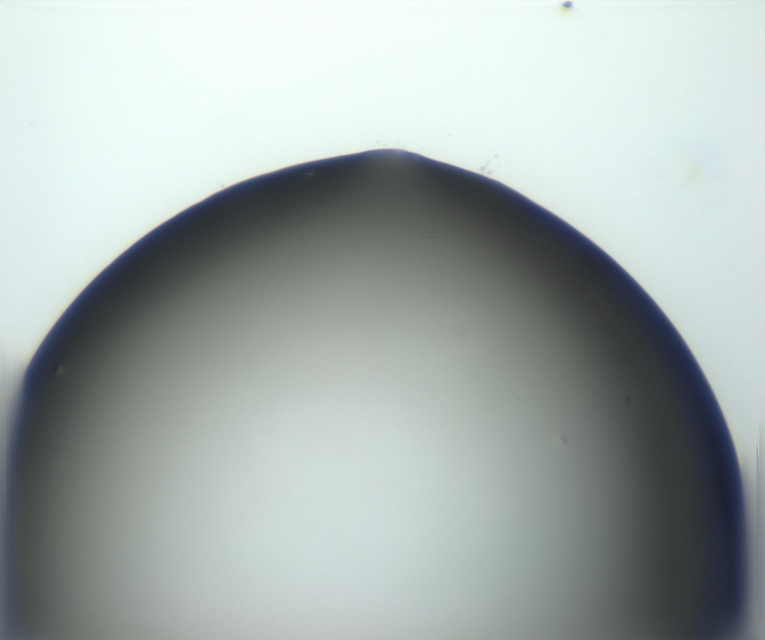 RI01_03_000_0212_Proj1_Clon1_MC_0000MC102801_006_161013_09_03_01_00_99_002_001_RAI.jpg