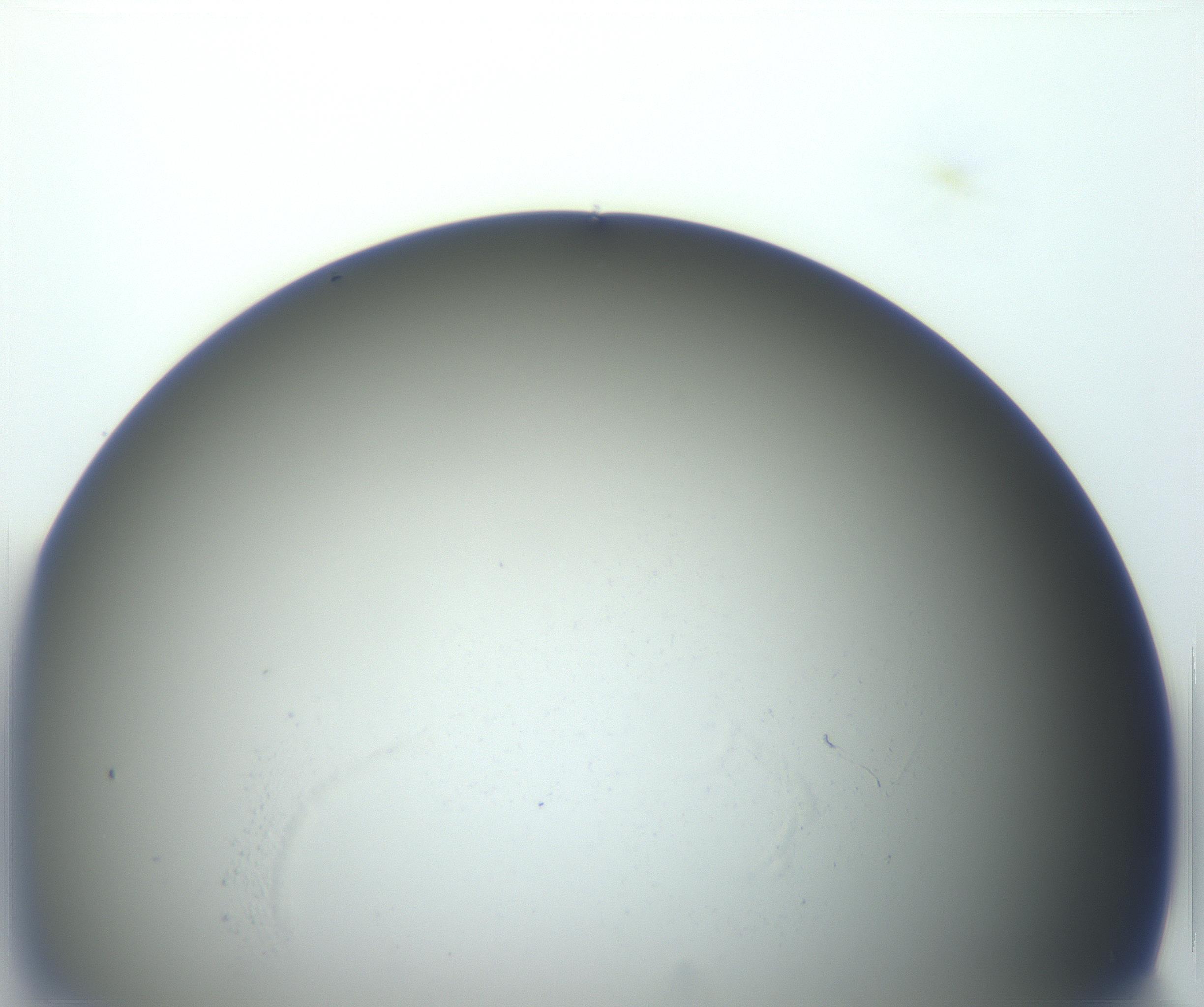 RI01_03_000_0212_Proj1_Clon1_MC_0000MC102801_006_161013_09_04_01_00_99_002_001_RAI.jpg
