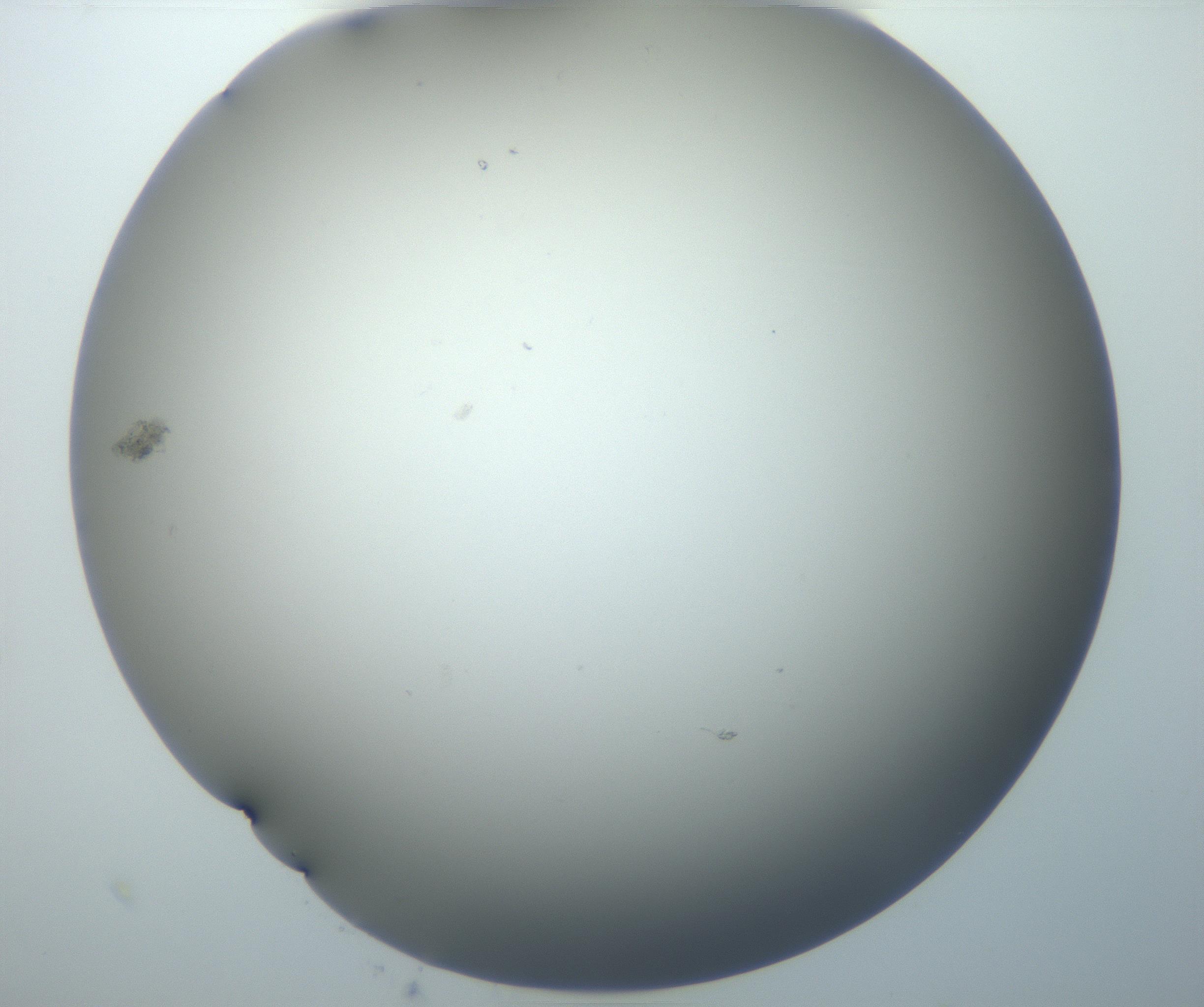 RI01_03_000_0212_Proj1_Clon1_MC_0000MC102801_006_161013_09_06_02_00_99_002_001_RAI.jpg