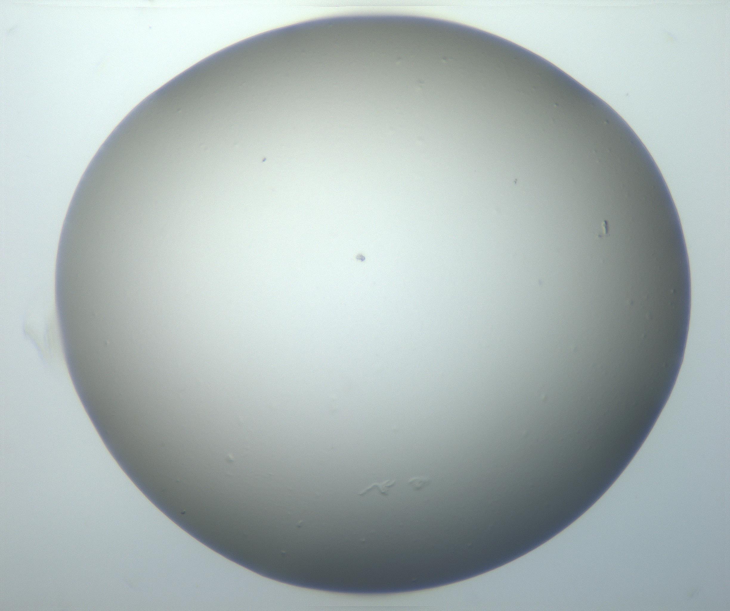 RI01_03_000_0212_Proj1_Clon1_MC_0000MC102801_006_161013_09_07_01_00_99_002_001_RAI.jpg