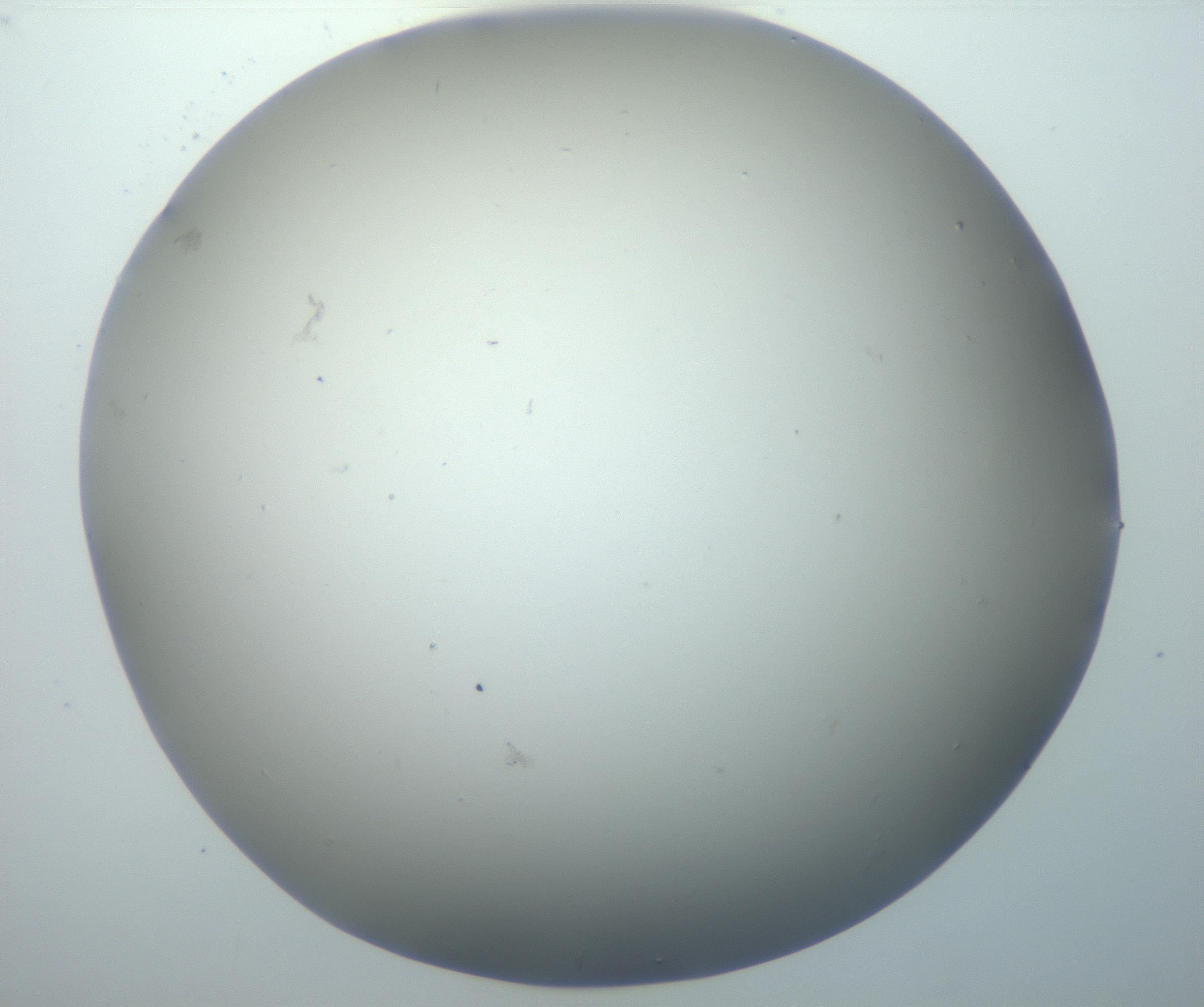 RI01_03_000_0212_Proj1_Clon1_MC_0000MC102801_006_161013_09_07_02_00_99_002_001_RAI.jpg