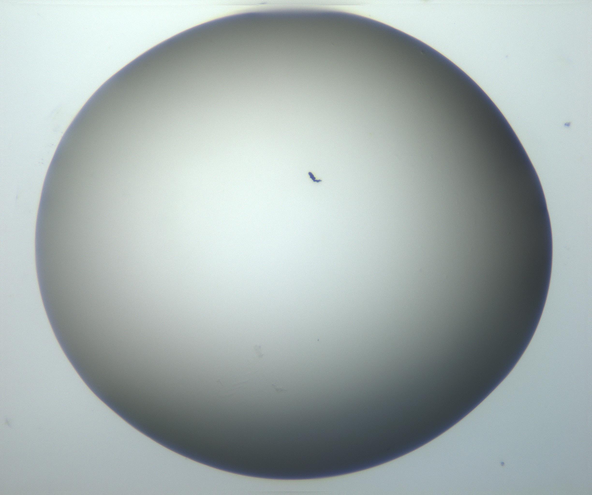 RI01_03_000_0212_Proj1_Clon1_MC_0000MC102801_006_161013_09_08_01_00_99_002_001_RAI.jpg
