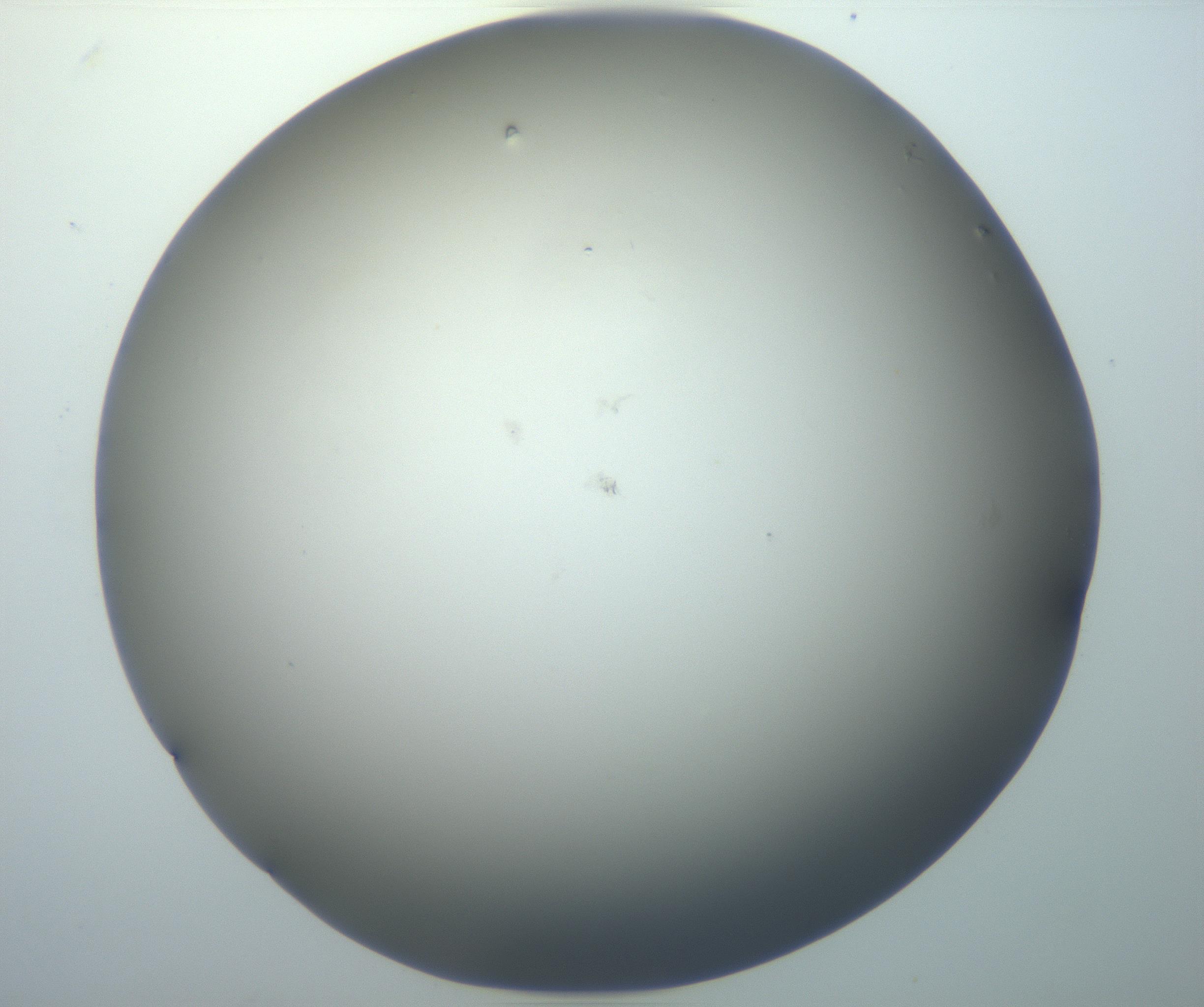 RI01_03_000_0212_Proj1_Clon1_MC_0000MC102801_006_161013_09_08_02_00_99_002_001_RAI.jpg
