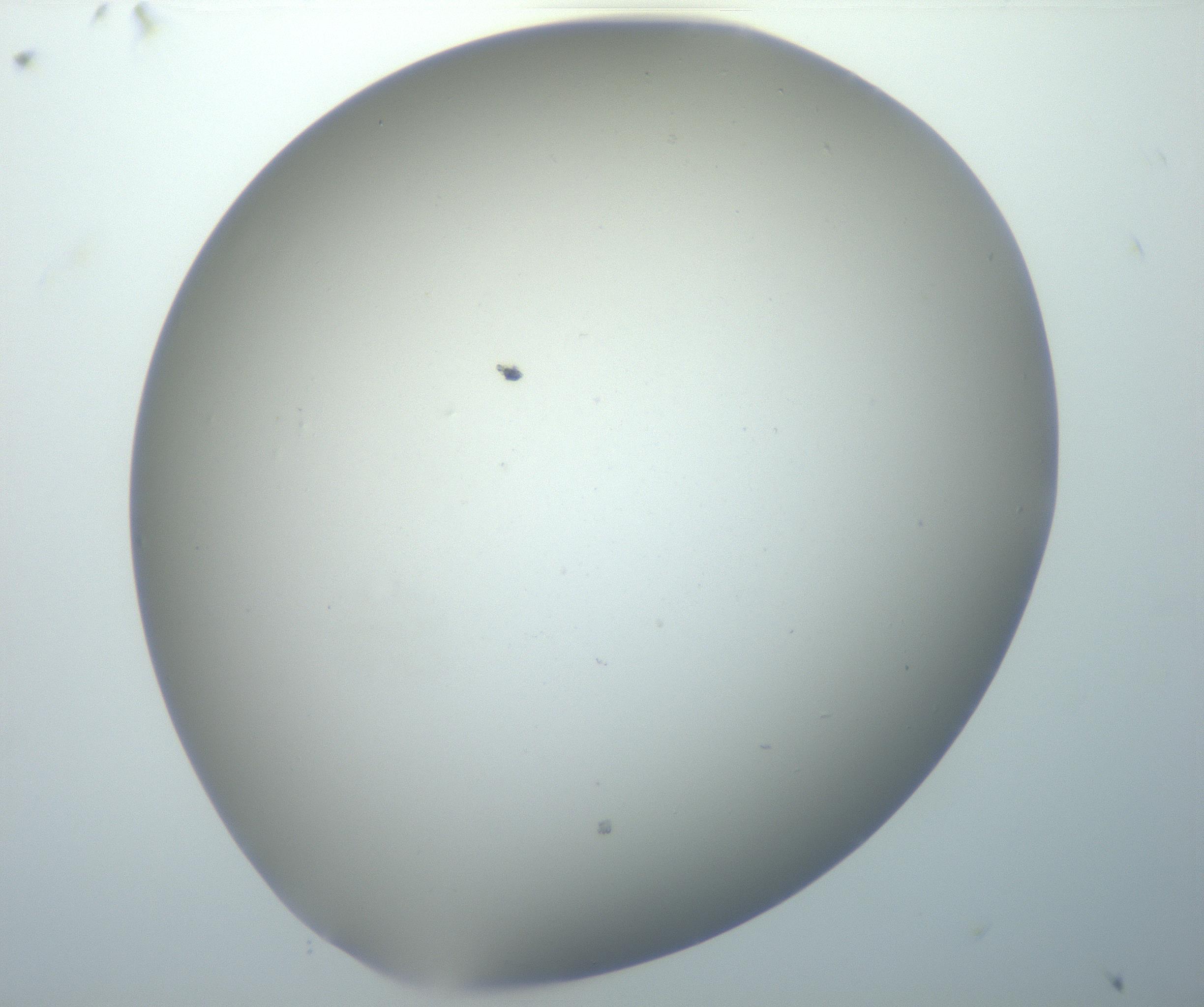 RI01_03_000_0212_Proj1_Clon1_MC_0000MC102801_006_161013_10_01_02_00_99_002_001_RAI.jpg