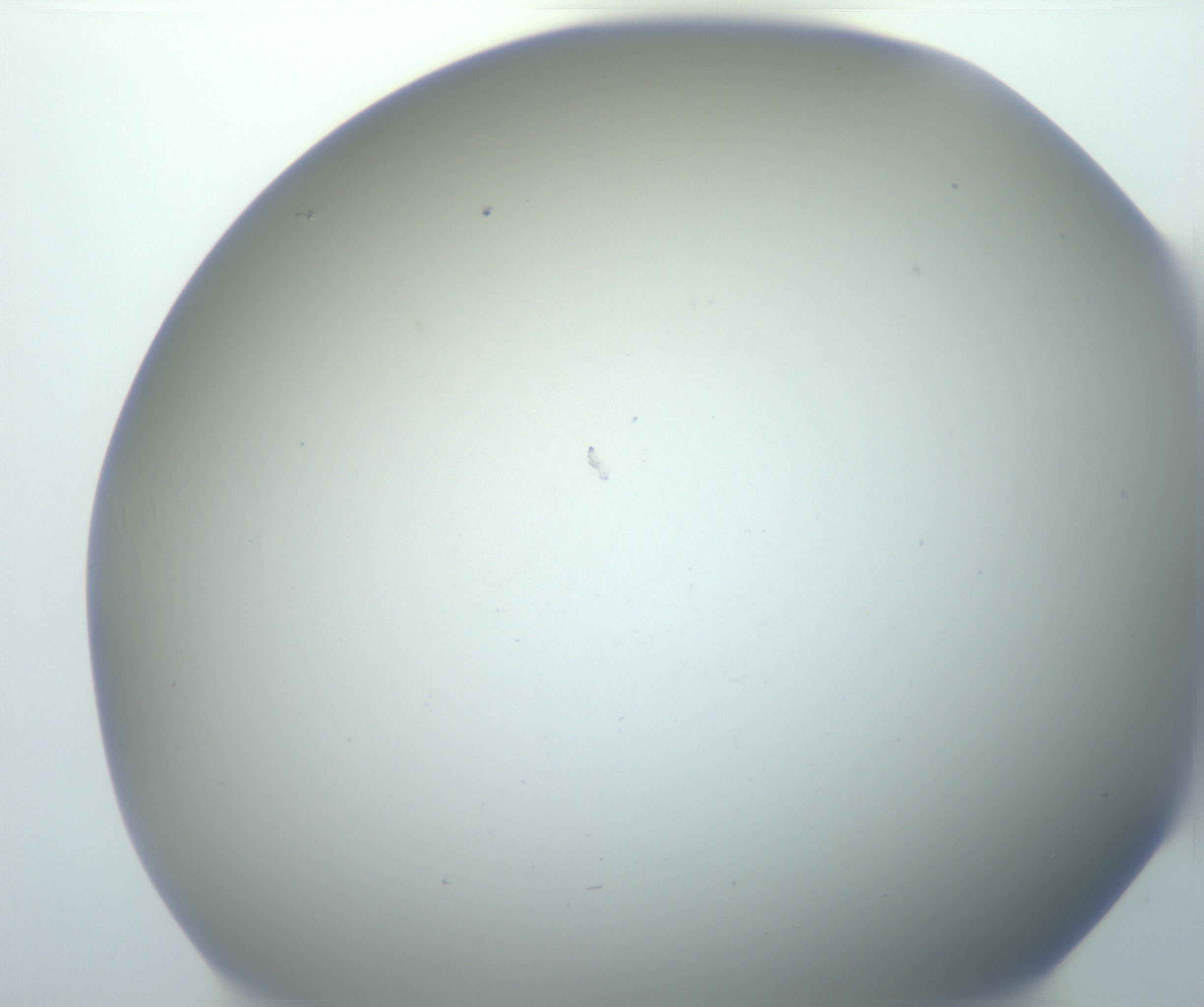 RI01_03_000_0212_Proj1_Clon1_MC_0000MC102801_006_161013_10_02_01_00_99_002_001_RAI.jpg