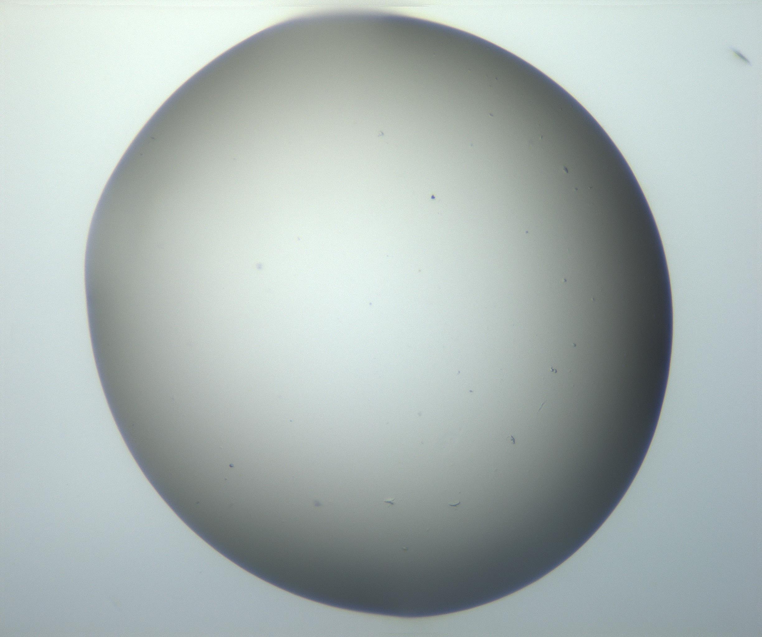 RI01_03_000_0212_Proj1_Clon1_MC_0000MC102801_006_161013_10_05_01_00_99_002_001_RAI.jpg