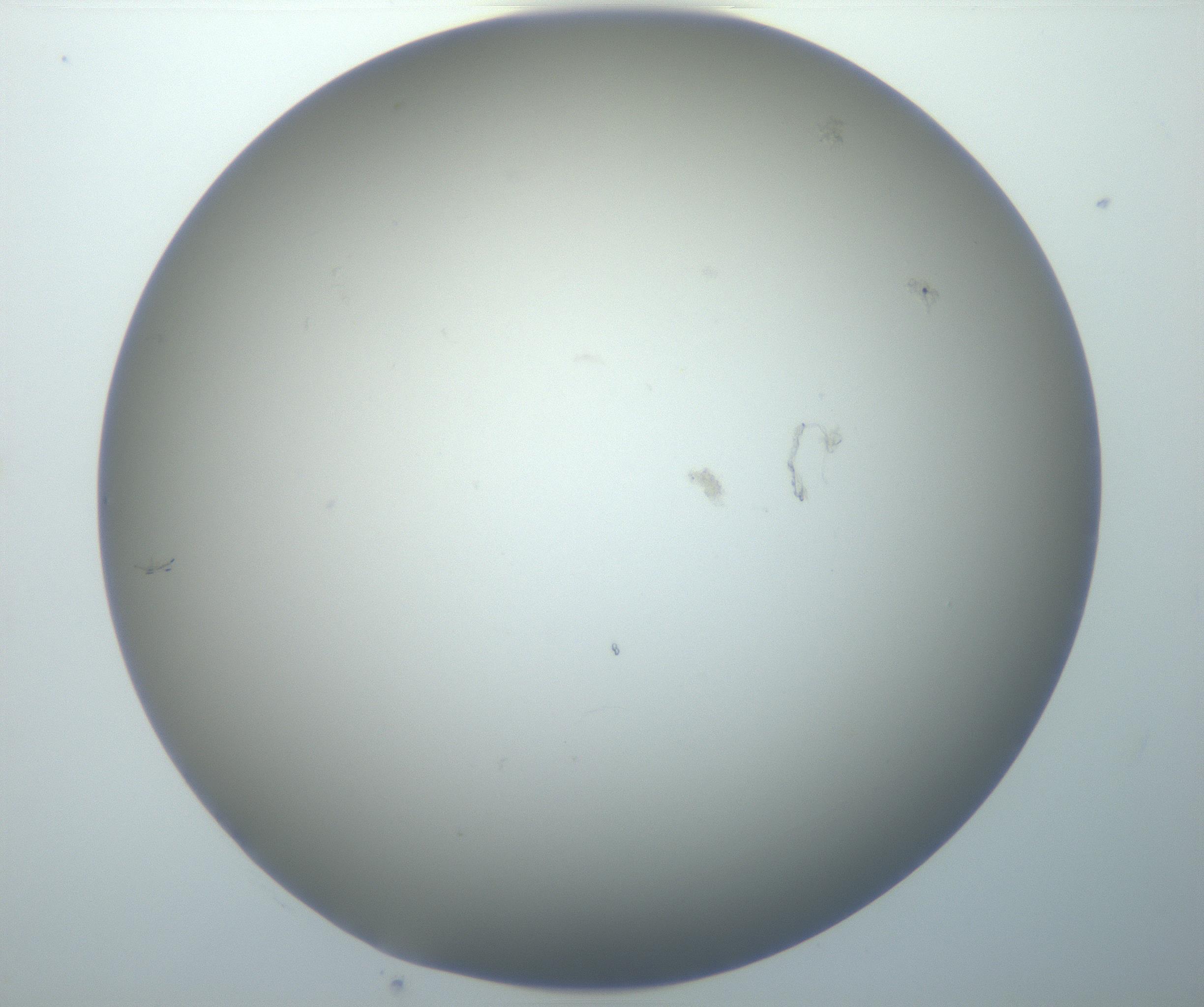 RI01_03_000_0212_Proj1_Clon1_MC_0000MC102801_006_161013_10_05_02_00_99_002_001_RAI.jpg