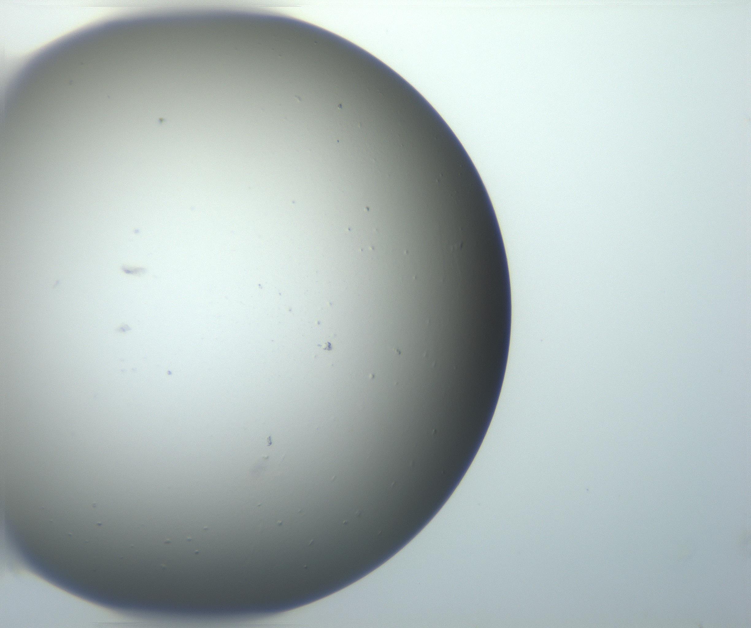 RI01_03_000_0212_Proj1_Clon1_MC_0000MC102801_006_161013_10_06_01_00_99_002_001_RAI.jpg
