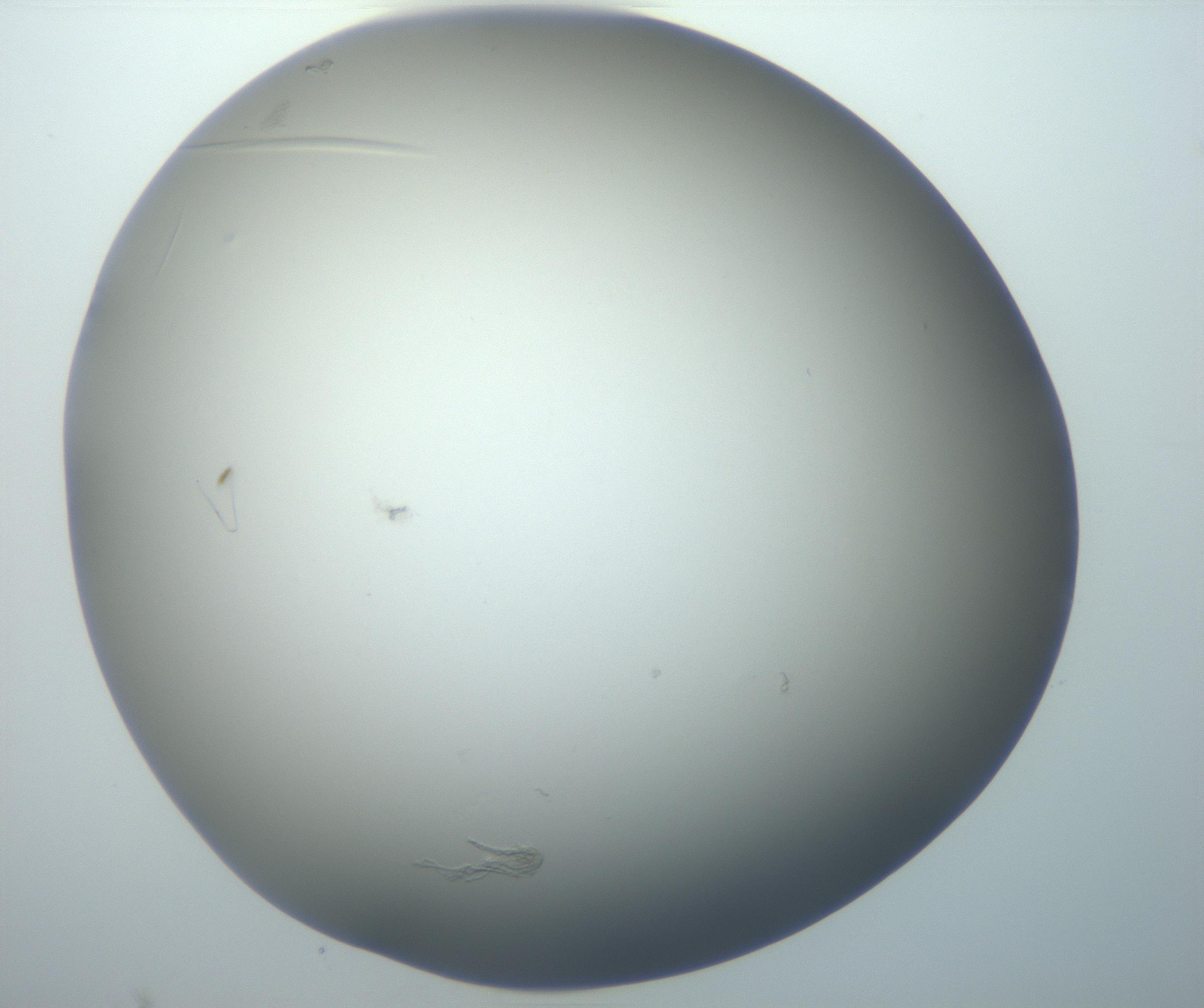 RI01_03_000_0212_Proj1_Clon1_MC_0000MC102801_006_161013_10_07_02_00_99_002_001_RAI.jpg