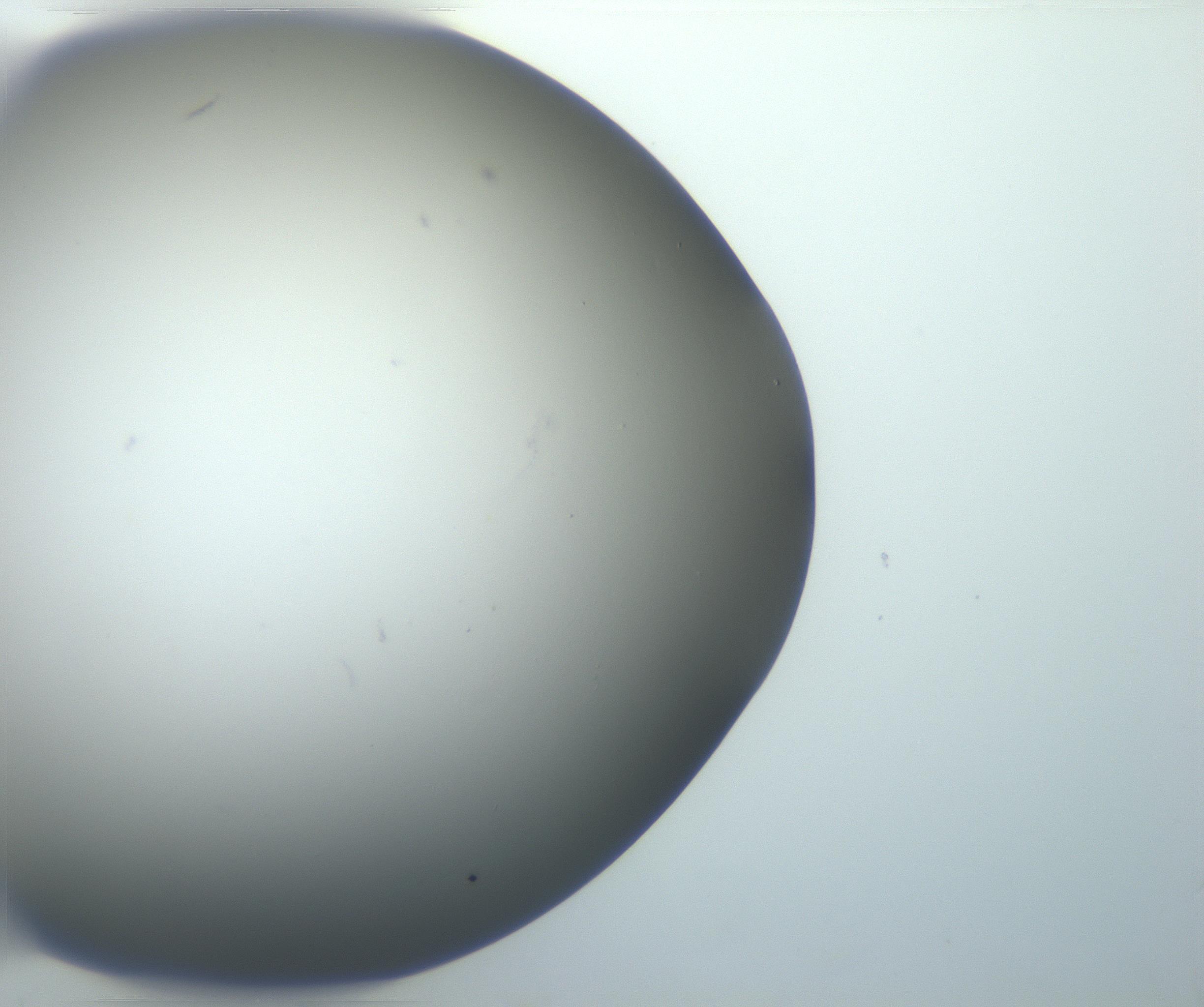 RI01_03_000_0212_Proj1_Clon1_MC_0000MC102801_006_161013_10_08_01_00_99_002_001_RAI.jpg