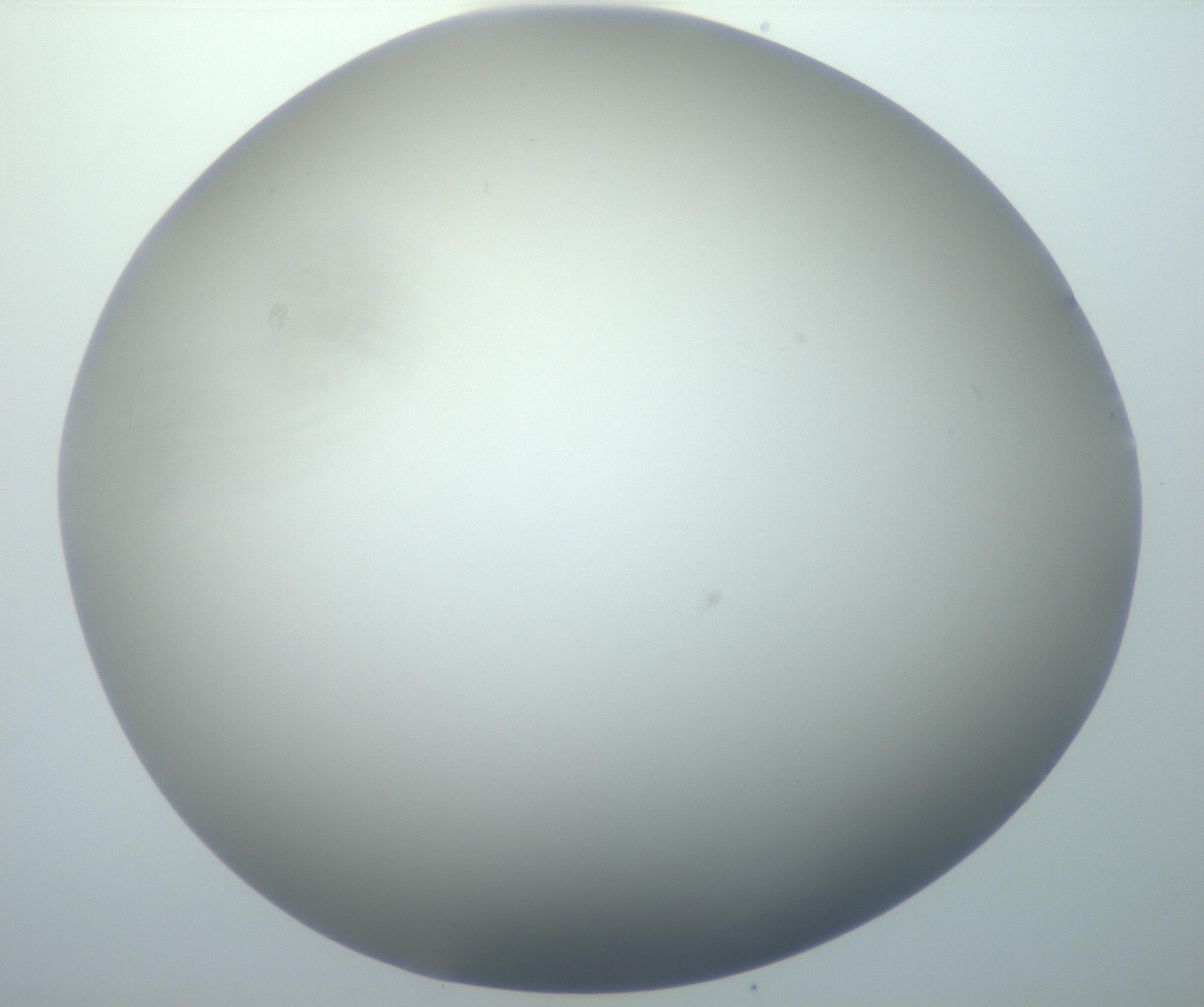 RI01_03_000_0212_Proj1_Clon1_MC_0000MC102801_006_161013_10_08_02_00_99_002_001_RAI.jpg