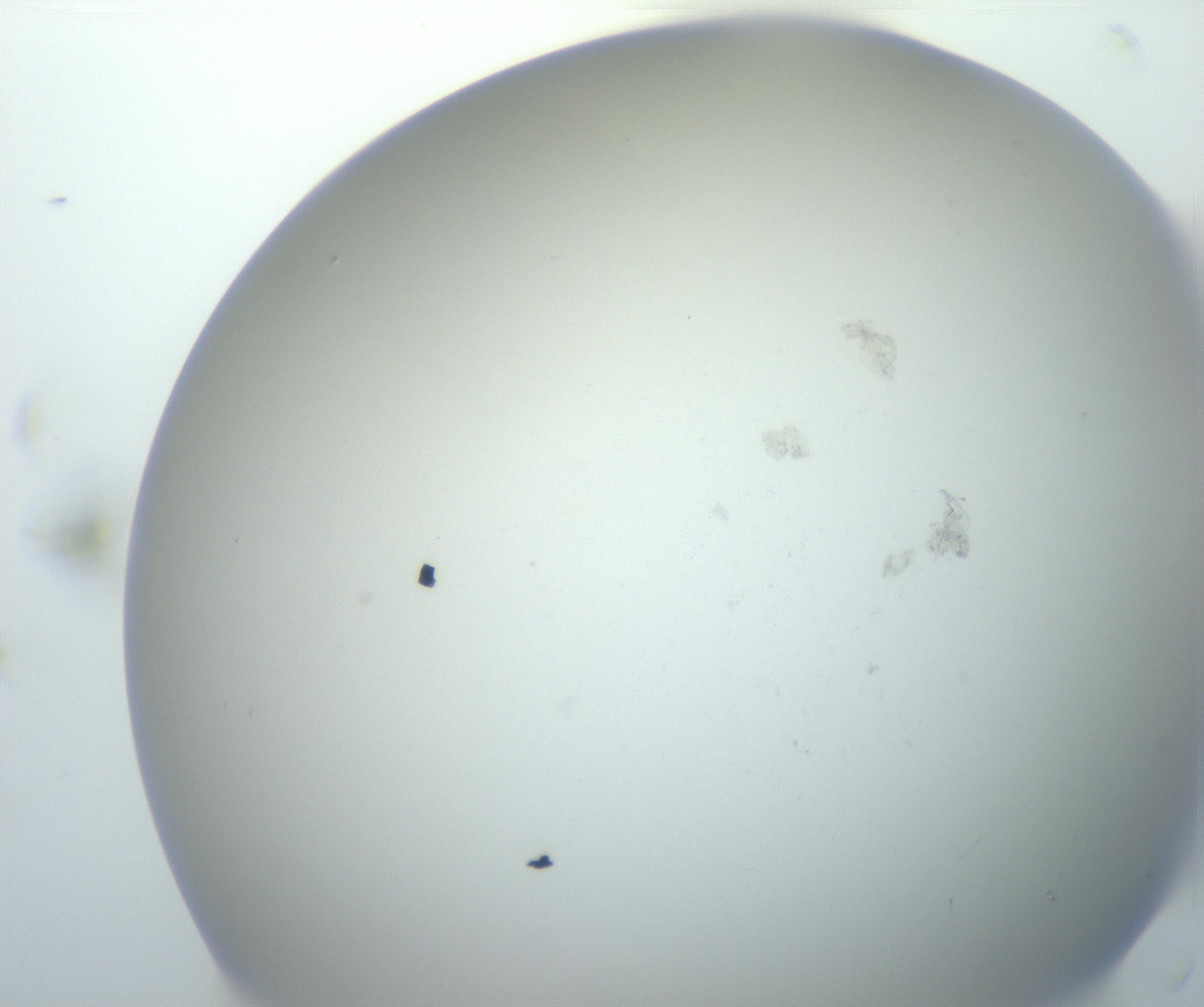 RI01_03_000_0212_Proj1_Clon1_MC_0000MC102801_006_161013_11_01_02_00_99_002_001_RAI.jpg