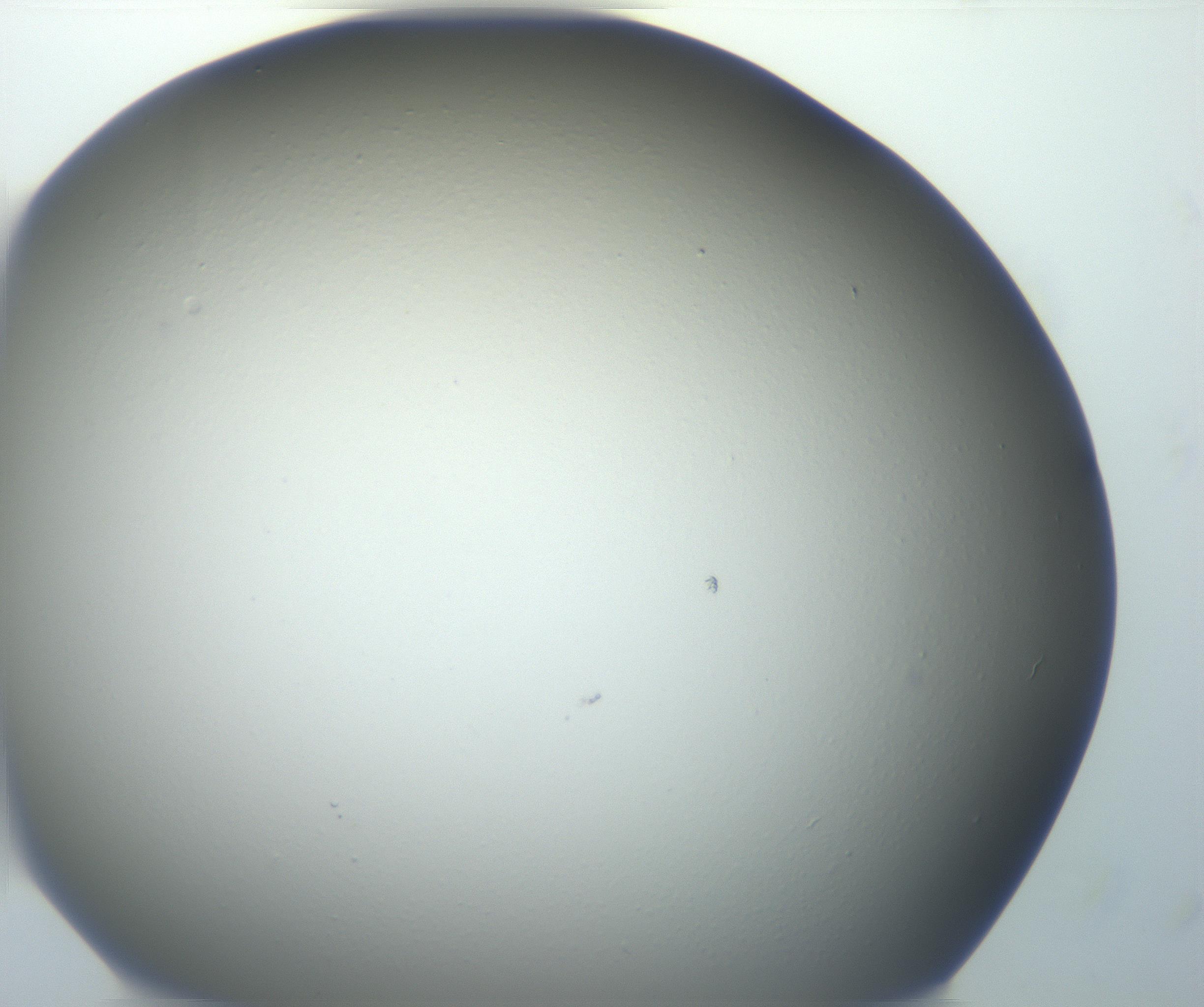 RI01_03_000_0212_Proj1_Clon1_MC_0000MC102801_006_161013_11_02_02_00_99_002_001_RAI.jpg
