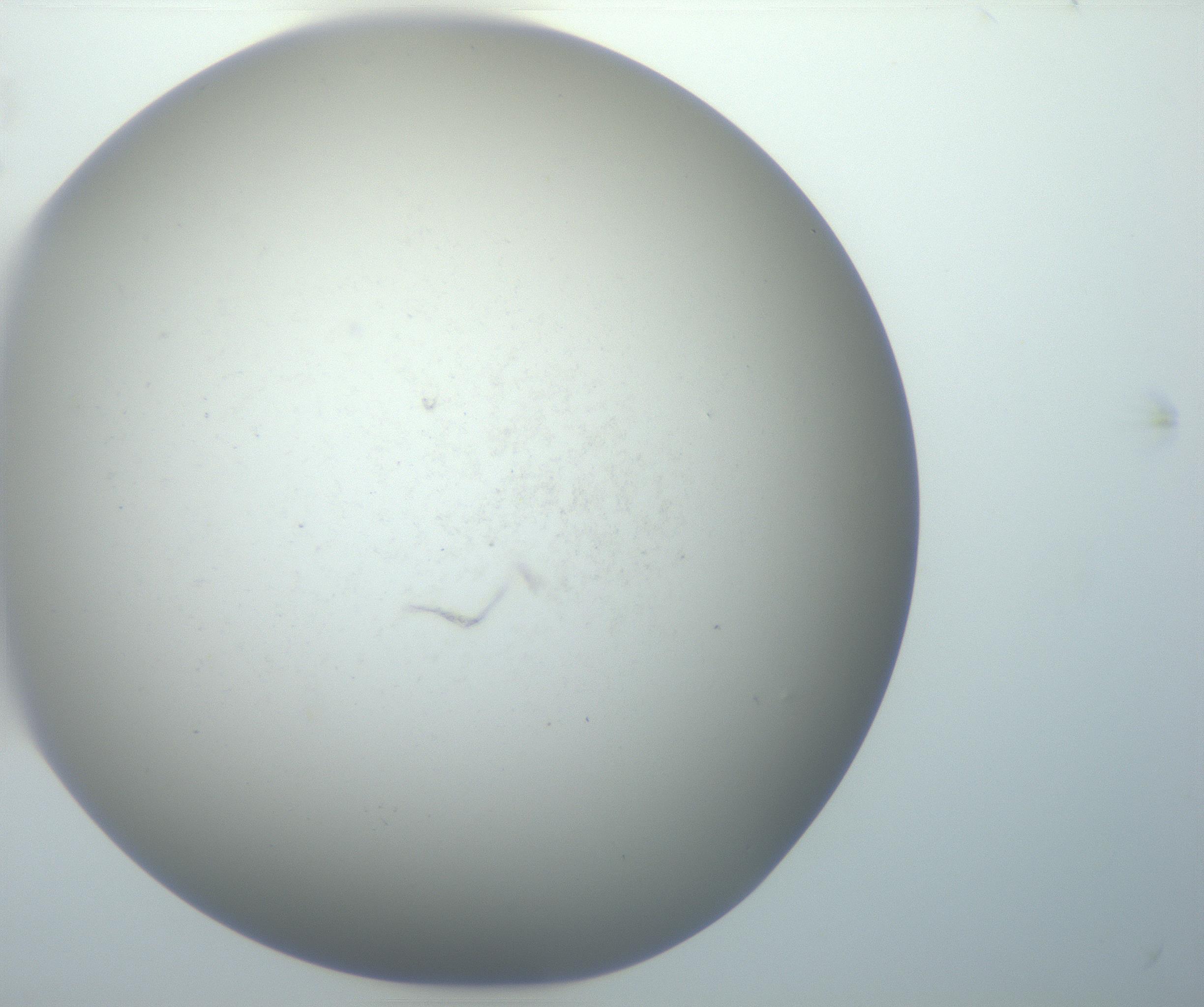 RI01_03_000_0212_Proj1_Clon1_MC_0000MC102801_006_161013_11_05_01_00_99_002_001_RAI.jpg