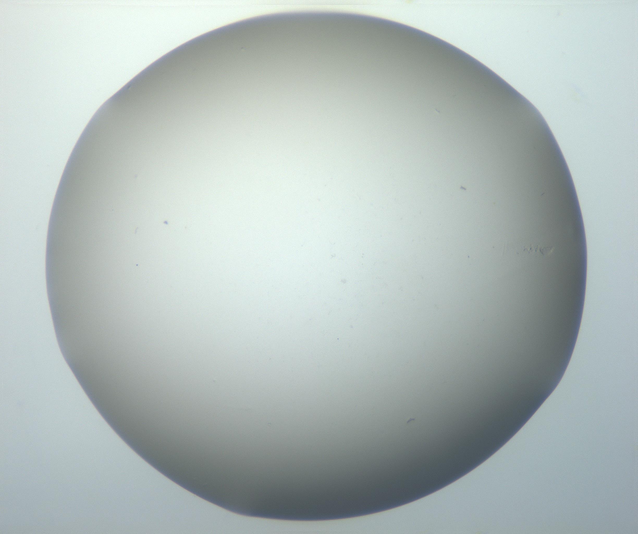RI01_03_000_0212_Proj1_Clon1_MC_0000MC102801_006_161013_11_07_01_00_99_002_001_RAI.jpg