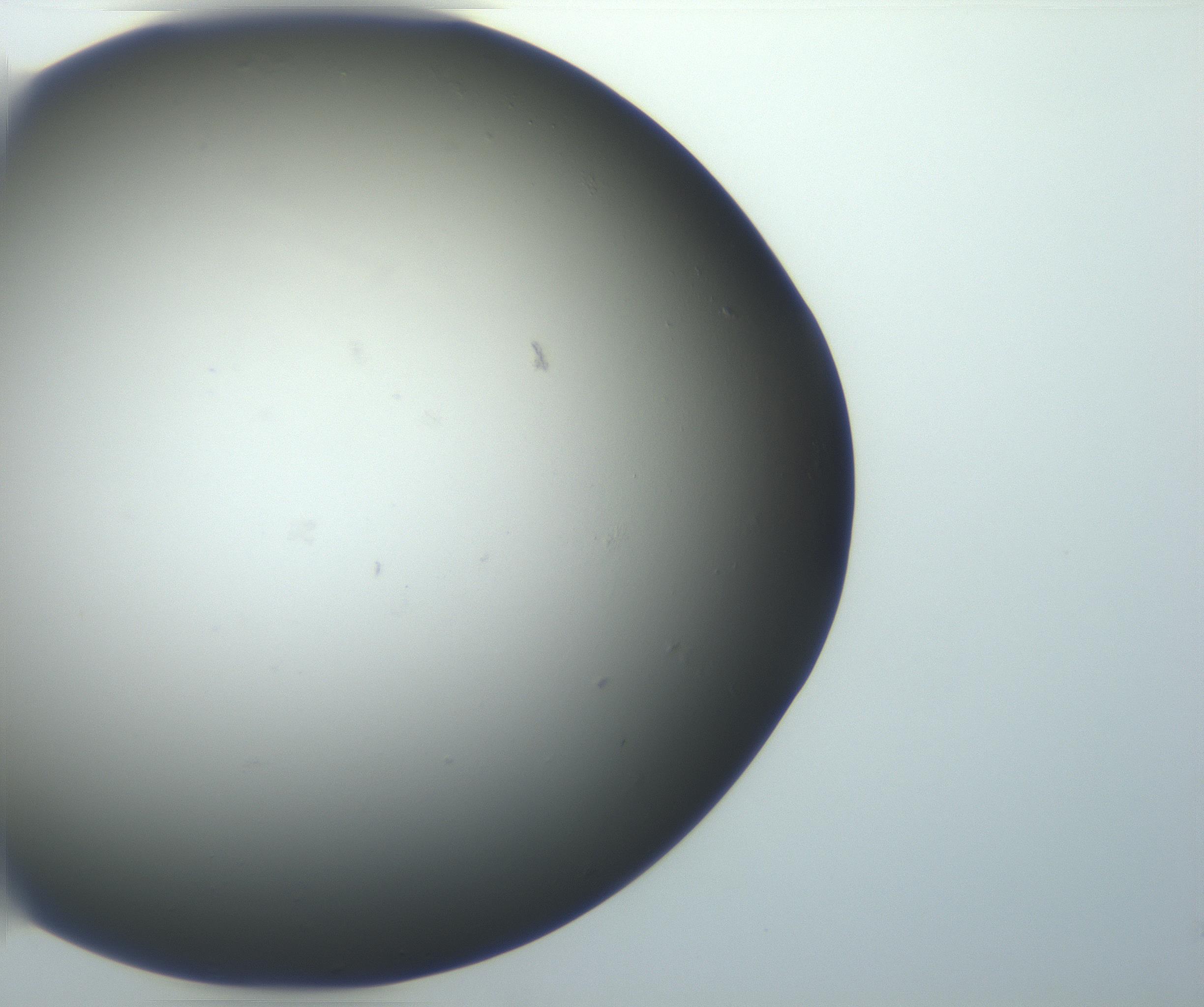 RI01_03_000_0212_Proj1_Clon1_MC_0000MC102801_006_161013_11_08_01_00_99_002_001_RAI.jpg