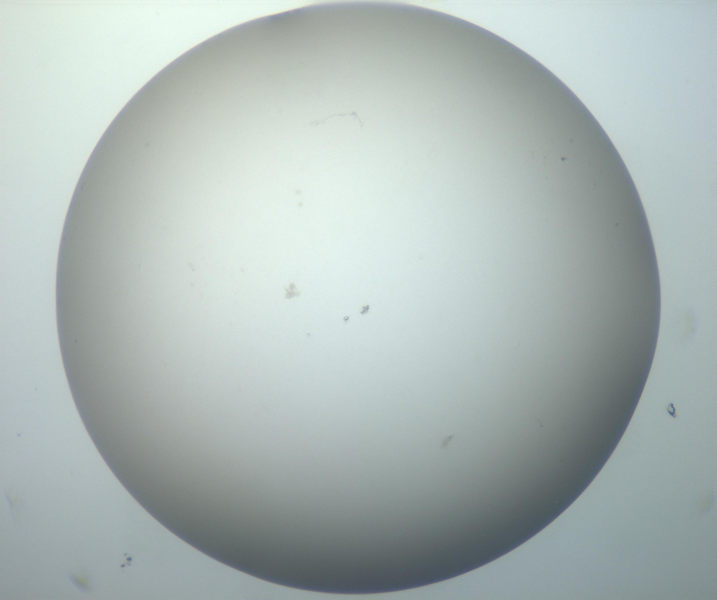 RI01_03_000_0212_Proj1_Clon1_MC_0000MC102801_006_161013_11_08_02_00_99_002_001_RAI.jpg