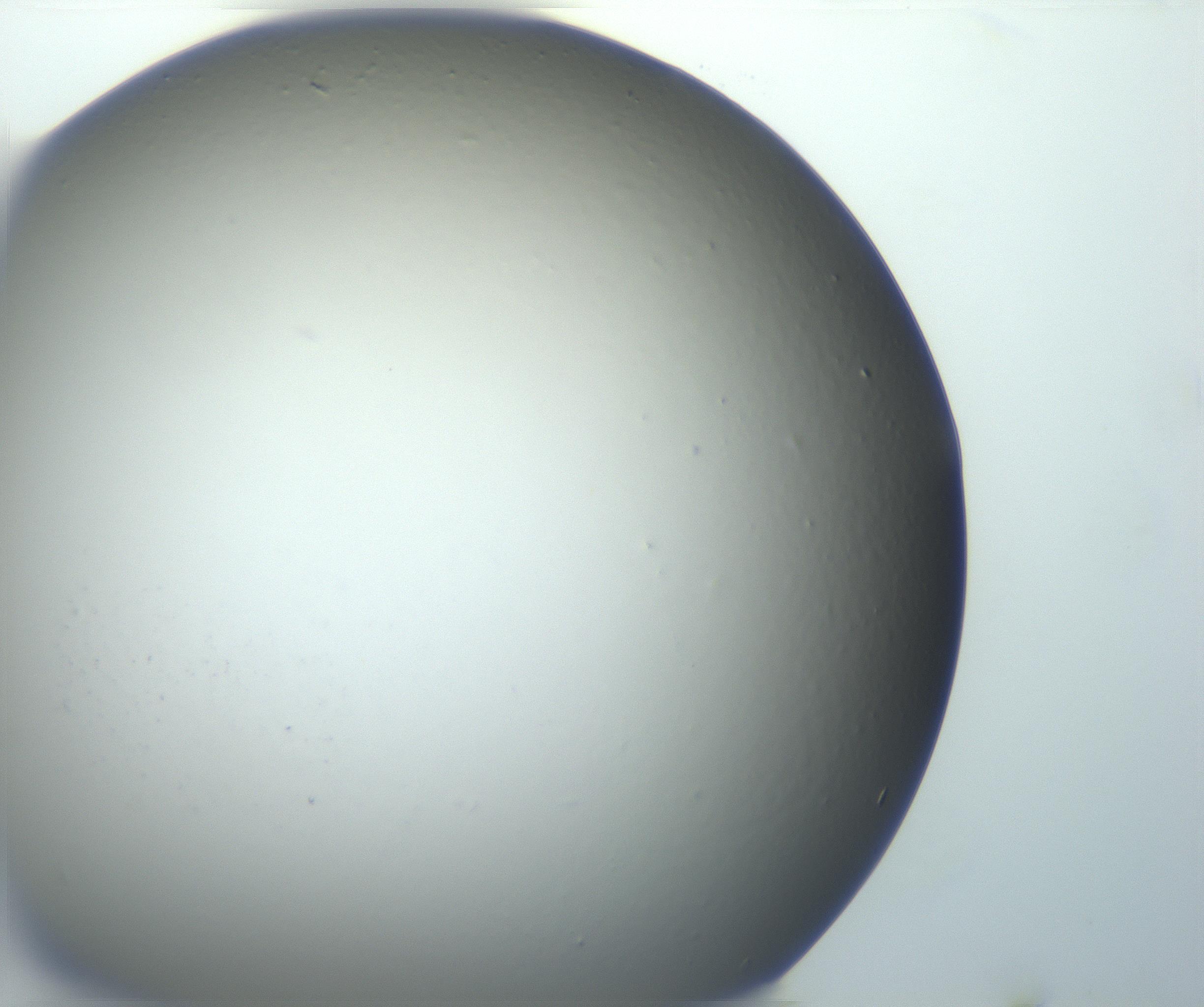 RI01_03_000_0212_Proj1_Clon1_MC_0000MC102801_006_161013_12_01_01_00_99_002_001_RAI.jpg