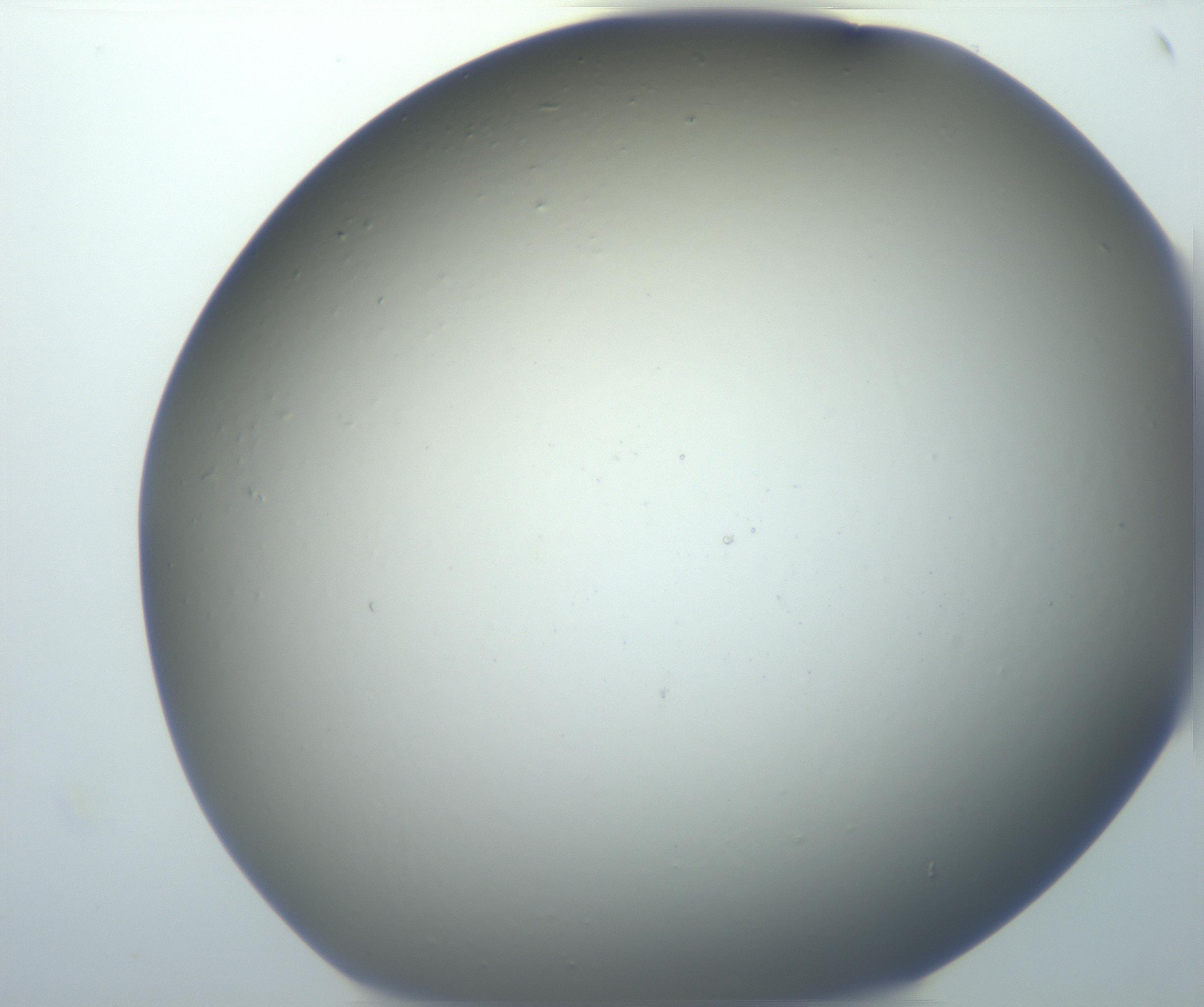 RI01_03_000_0212_Proj1_Clon1_MC_0000MC102801_006_161013_12_02_01_00_99_002_001_RAI.jpg